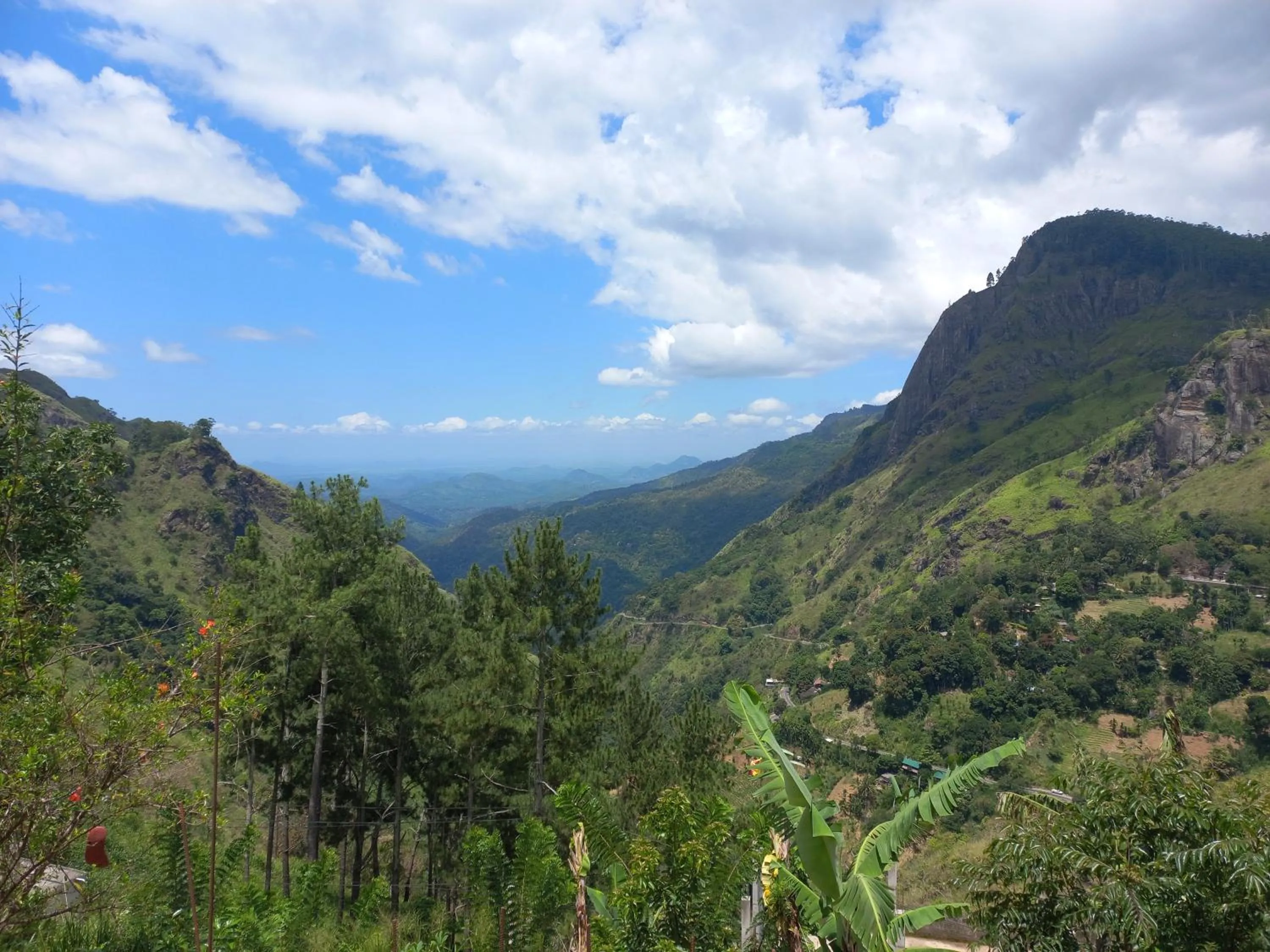 Natural landscape in Two Rock Vista