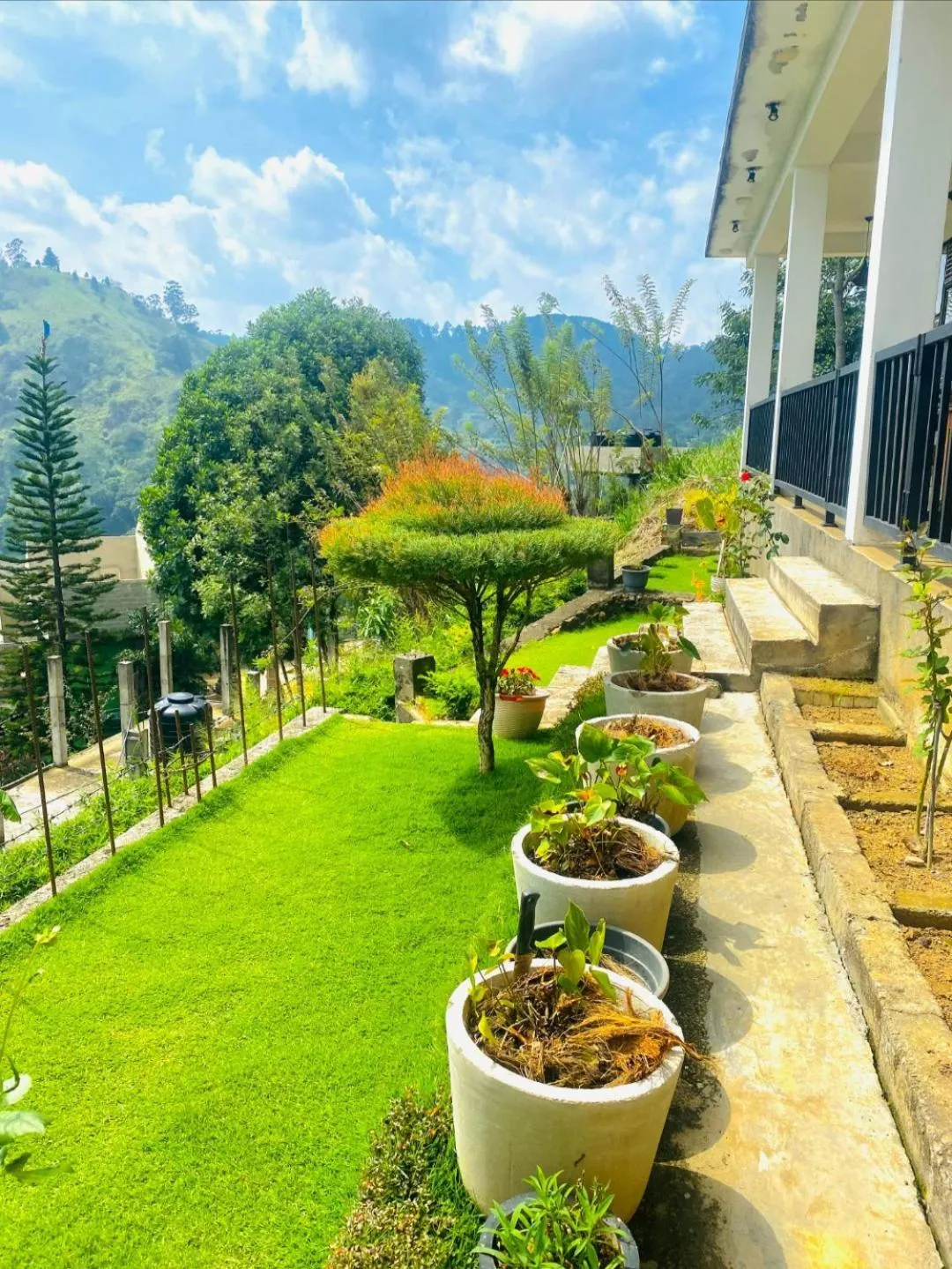 Natural landscape in Two Rock Vista