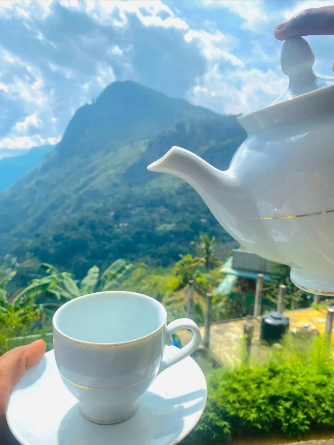 Natural landscape in Two Rock Vista