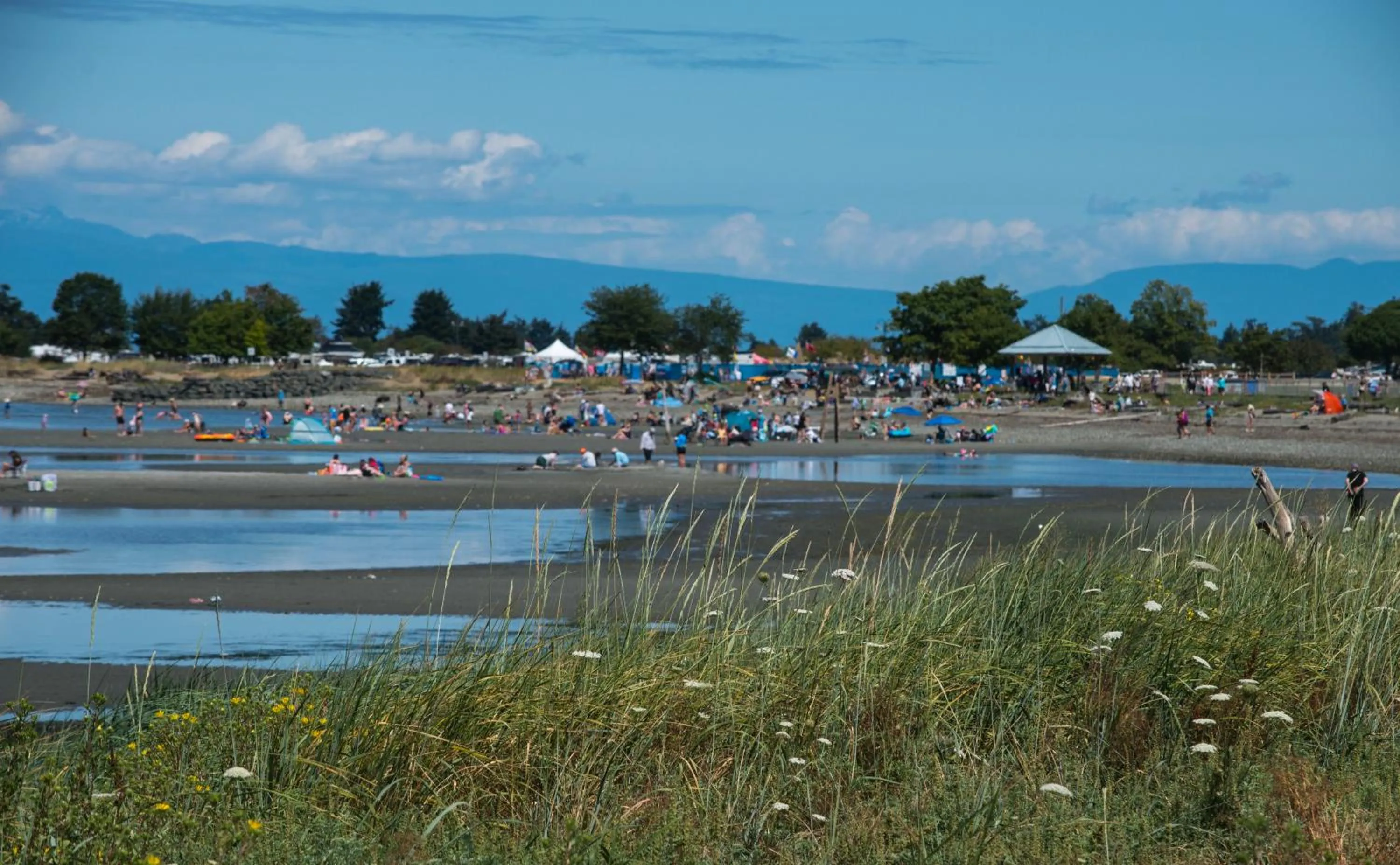 Beach in Sea Edge Beachside Hotel