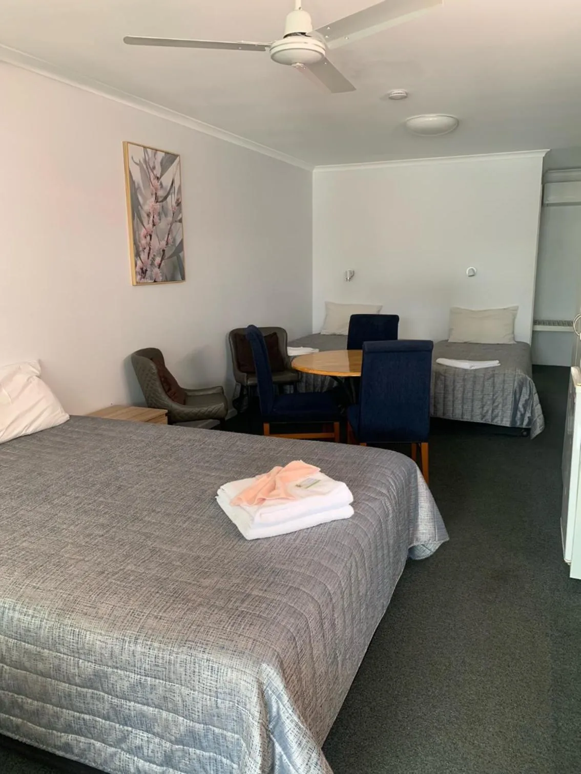 Family, Bed in Shady Rest Motel