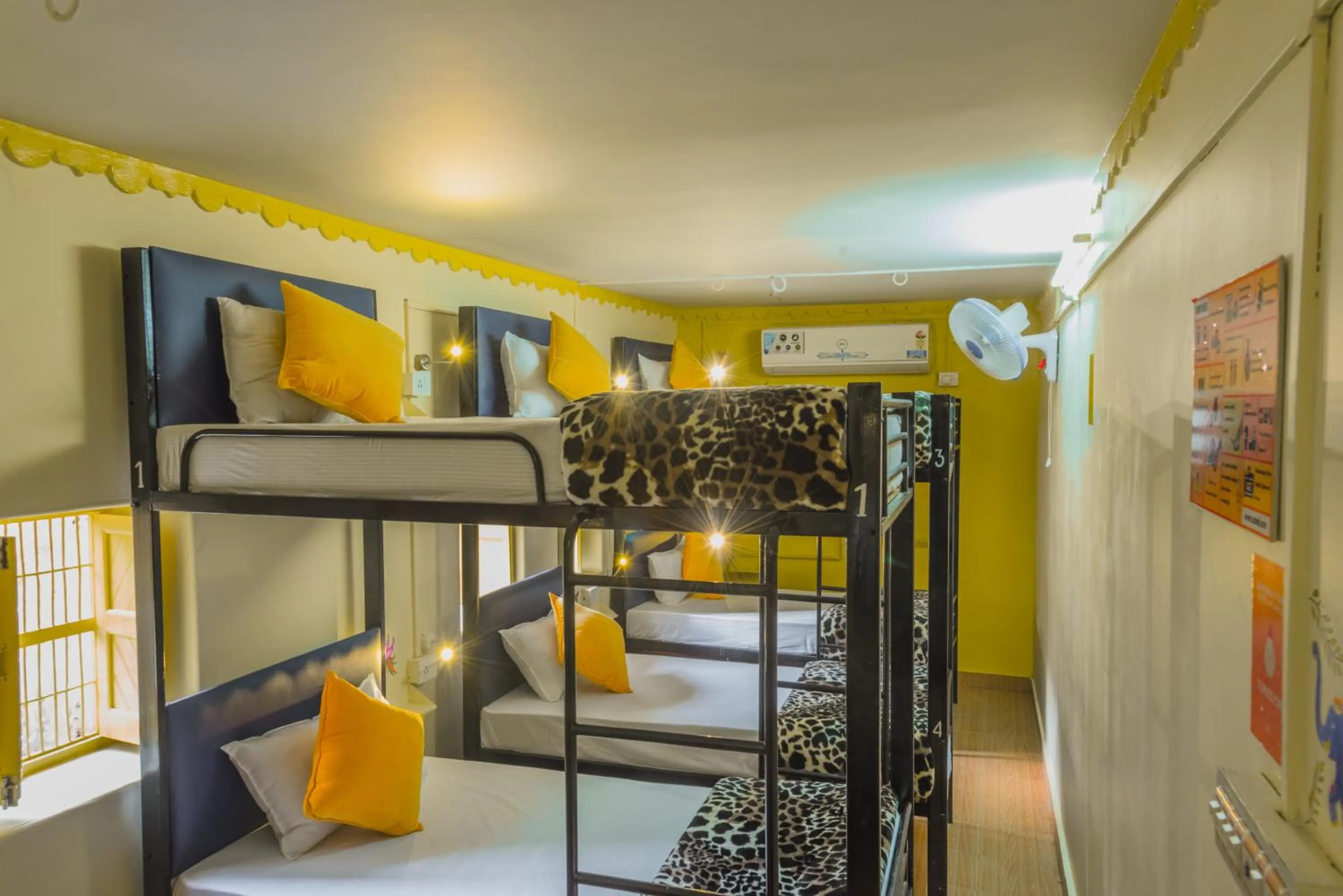 bunk bed, Bed in Zostel Jodhpur, Clock Tower