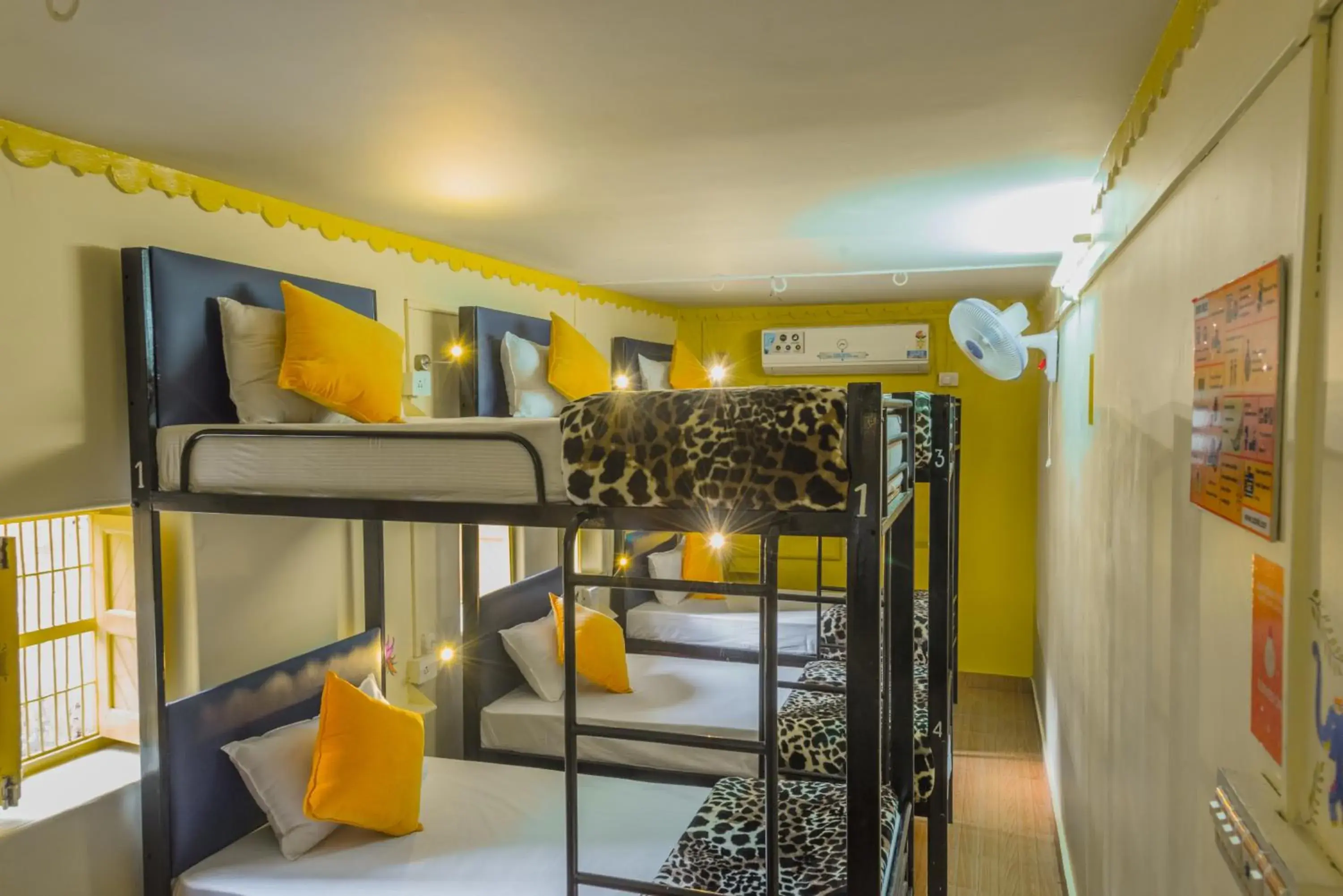 bunk bed, Bed in Zostel Jodhpur, Clock Tower bunk bed, Bed in Zostel Jodhpur, Clock Tower