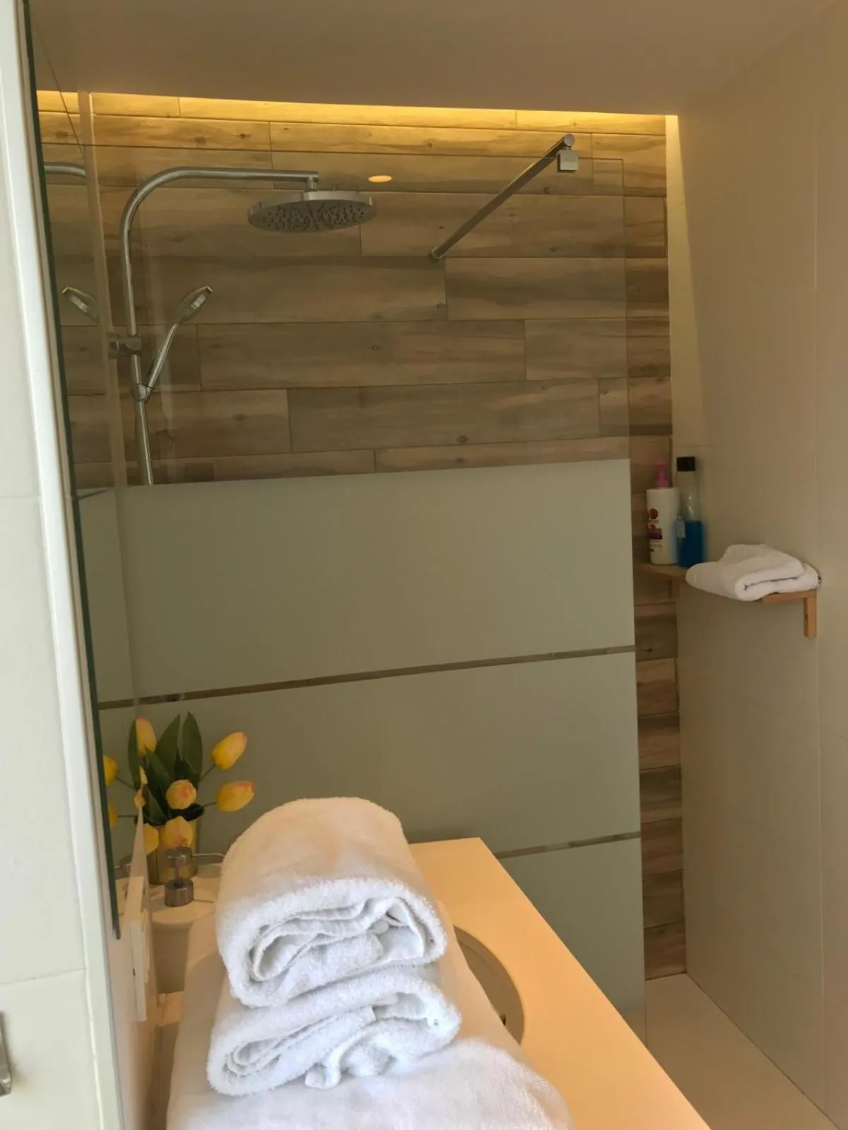 Shower in Urban House Siurot 33