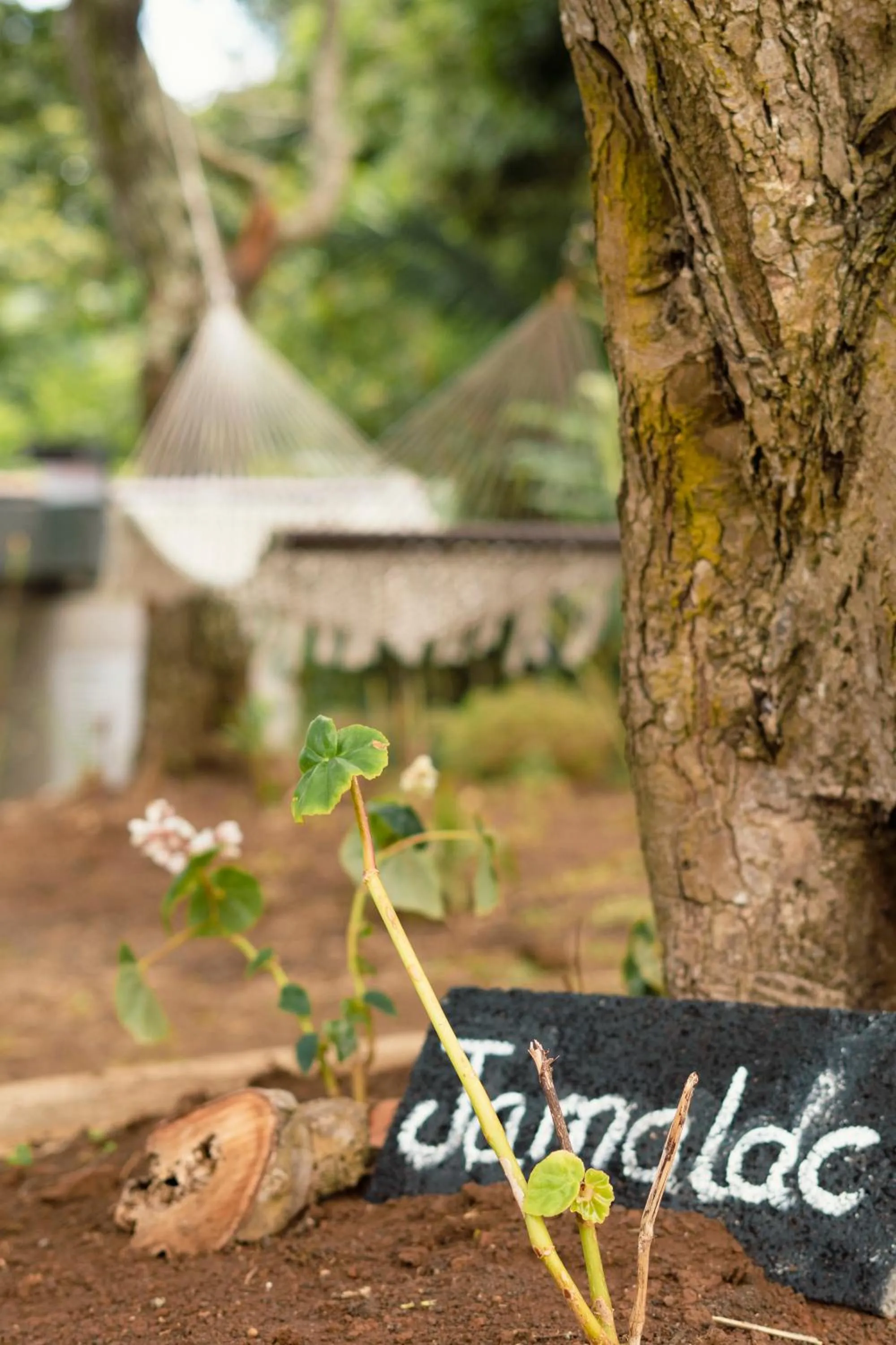Decorative detail in Kaz'alala Hosted B&B