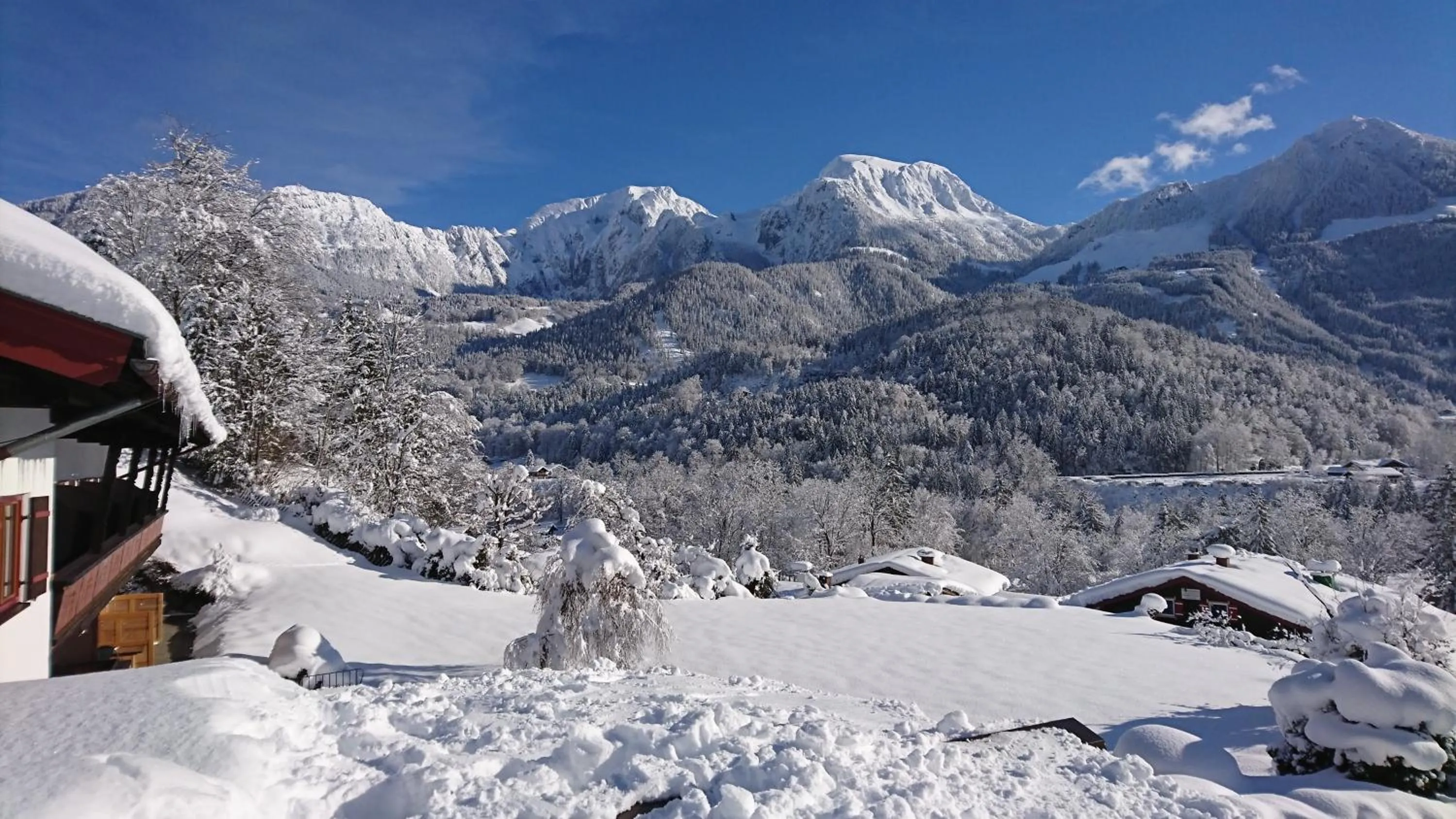 Garden view in Hotel Hanauerlehen - ruhige & zentrale Top-Lage - mit Schwimmbad, Sauna, Parkplätze & Café - bayerischer Familienbetrieb