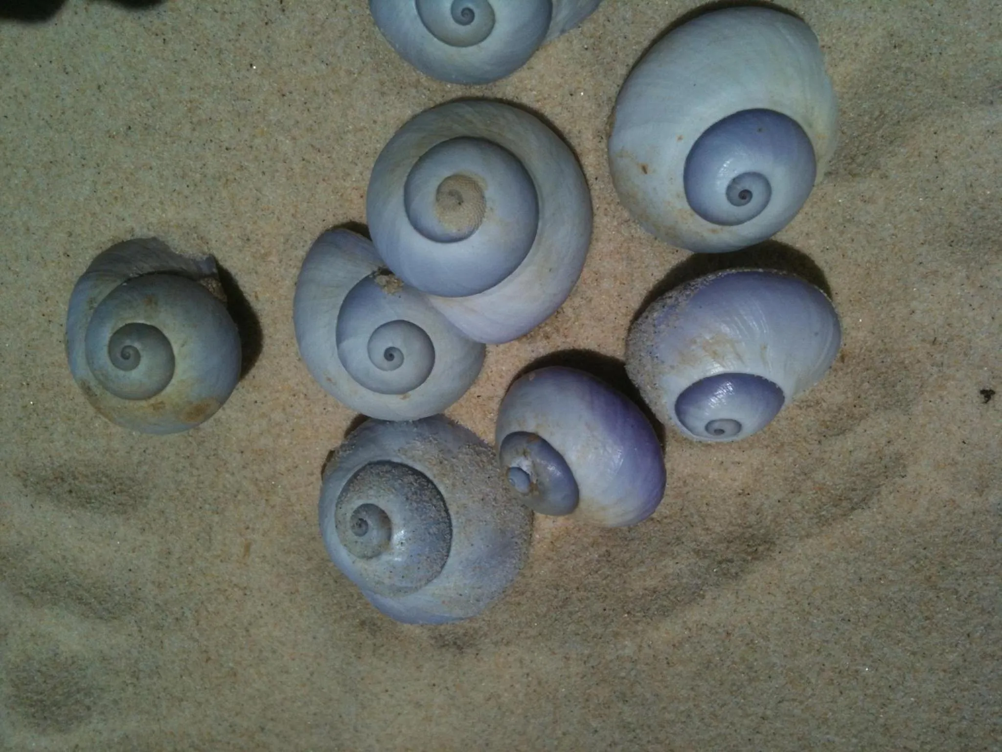 Decorative detail in Rainbow Getaway Holiday Apartments