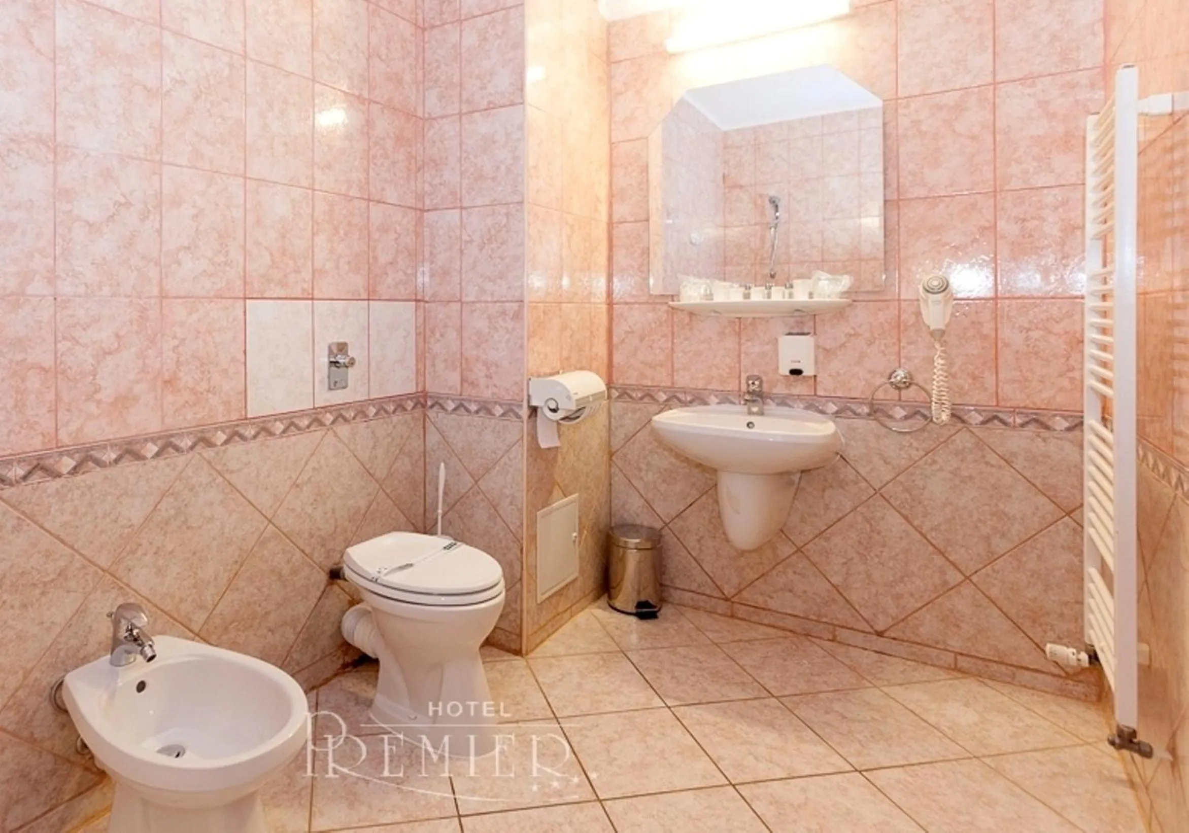 Bathroom in Hotel Premier