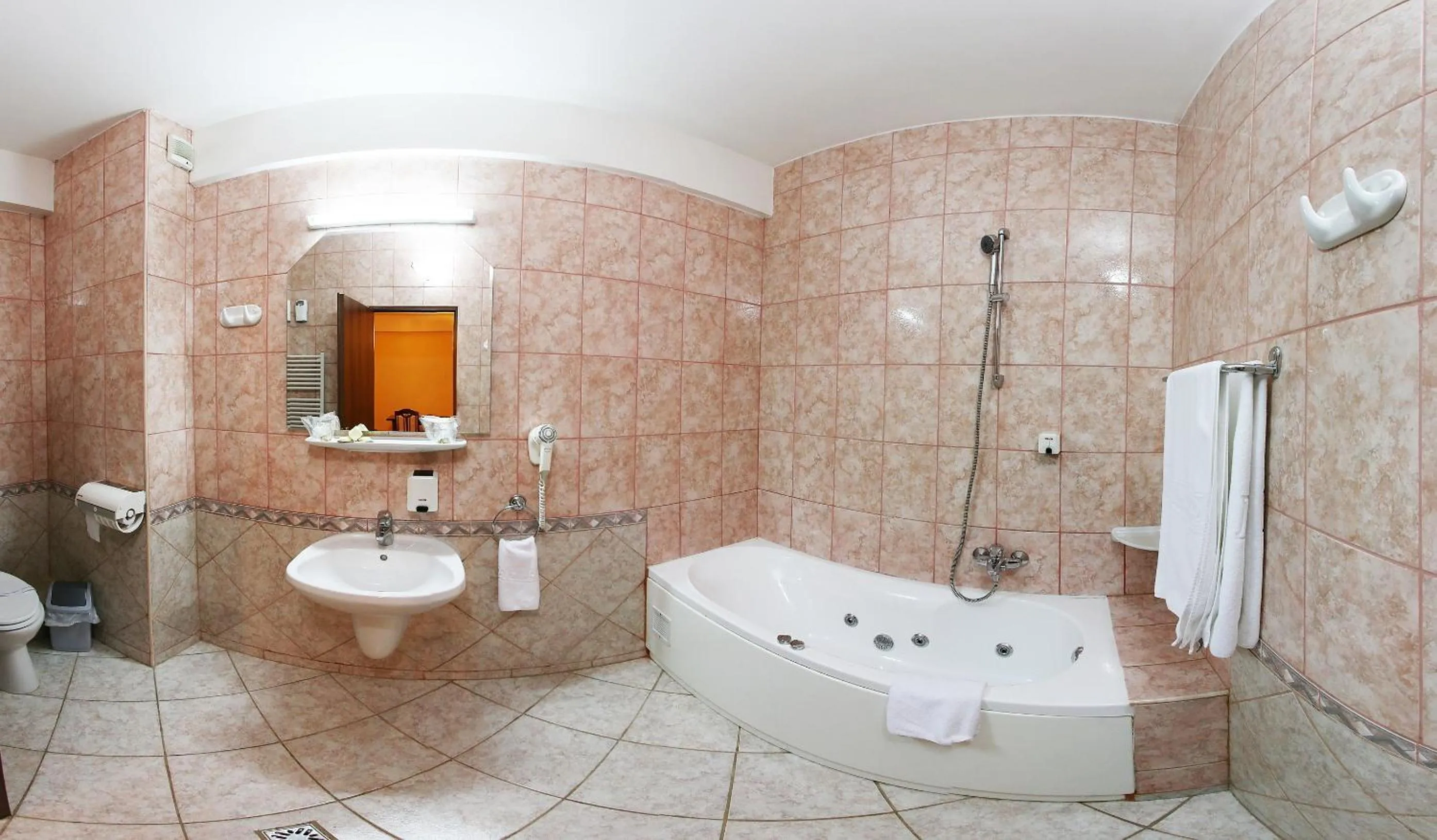 Bathroom in Hotel Premier