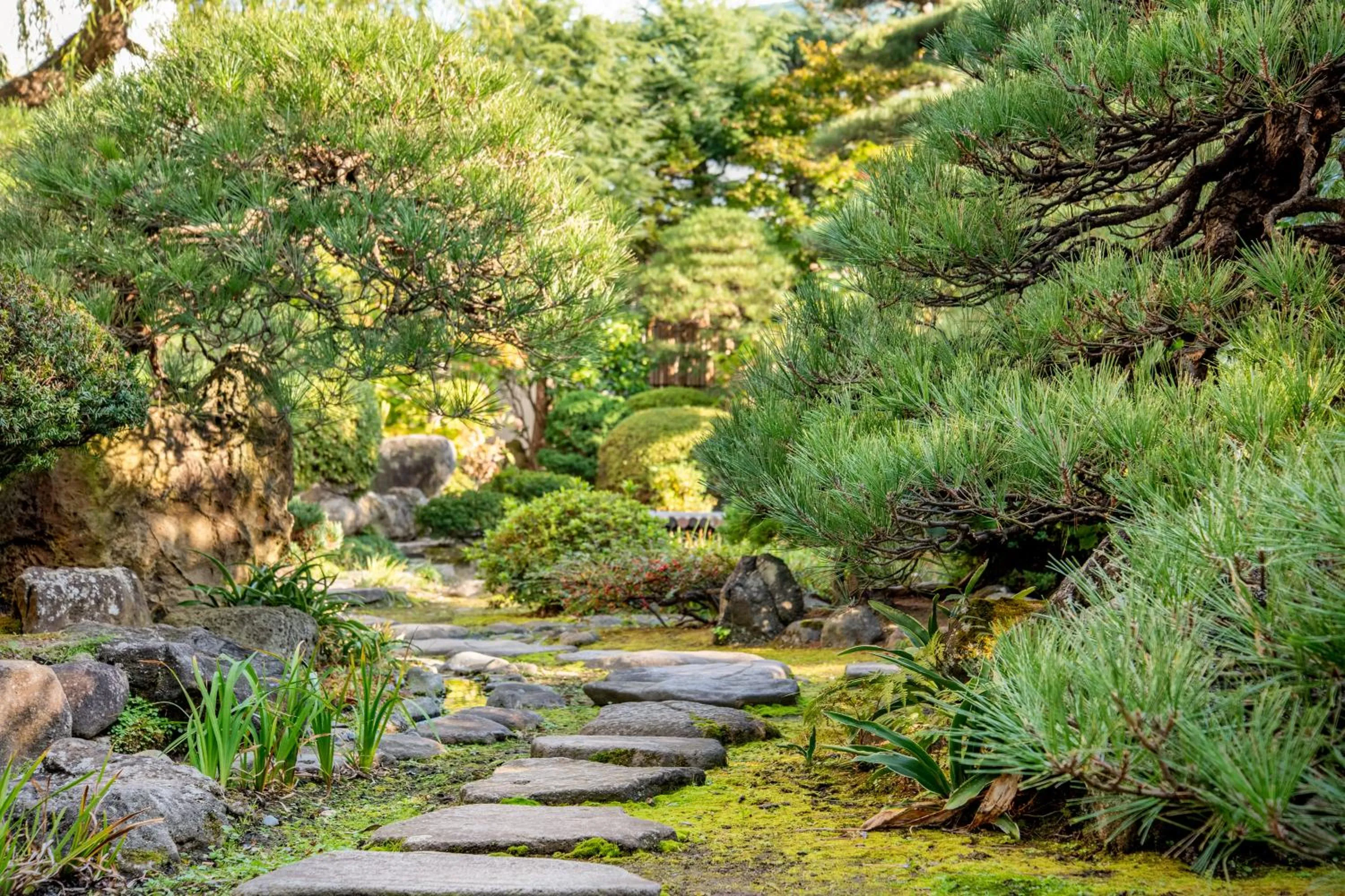 Garden in Yanagi No Yu