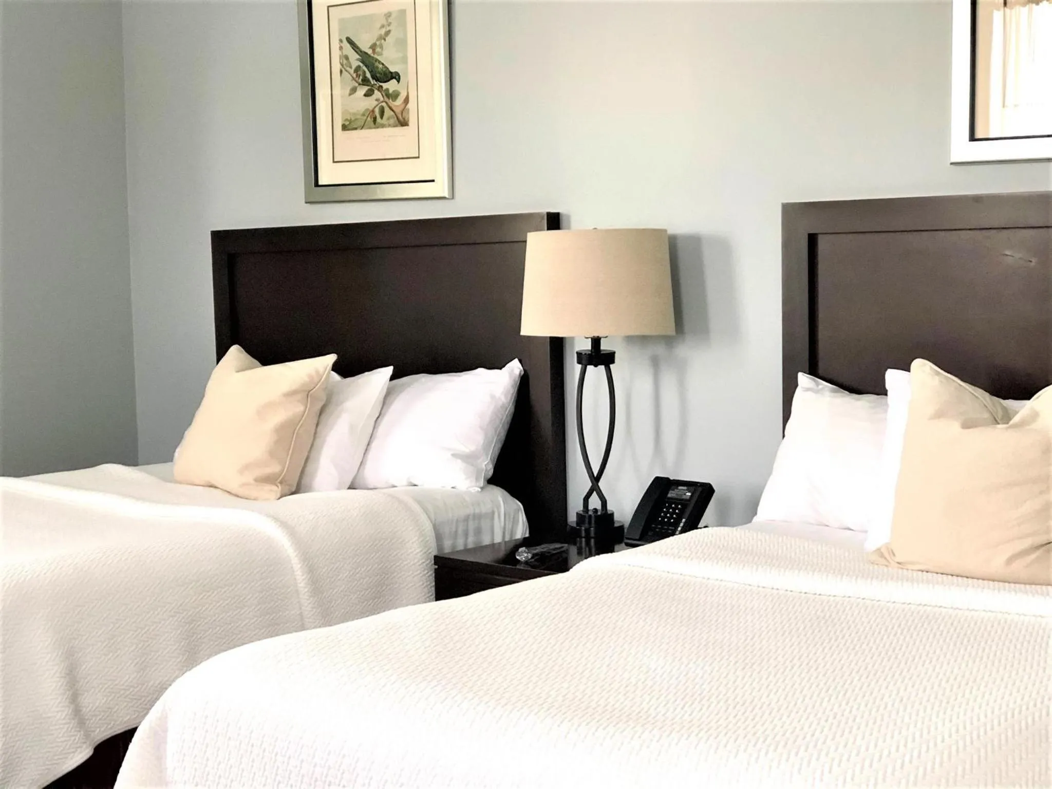 Bed in The Inn at Longshore