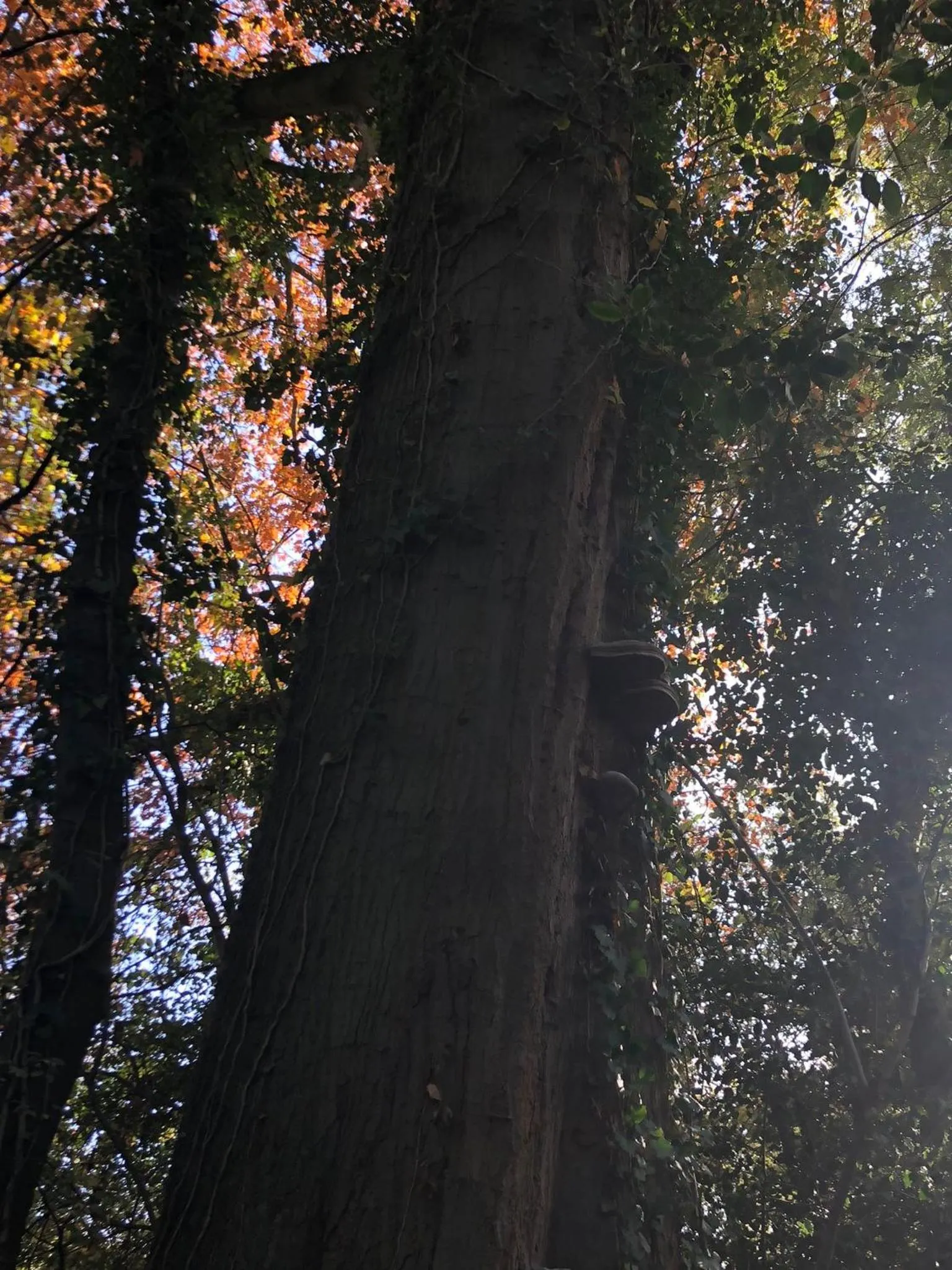 Kasteel B&B Sint-Bartel