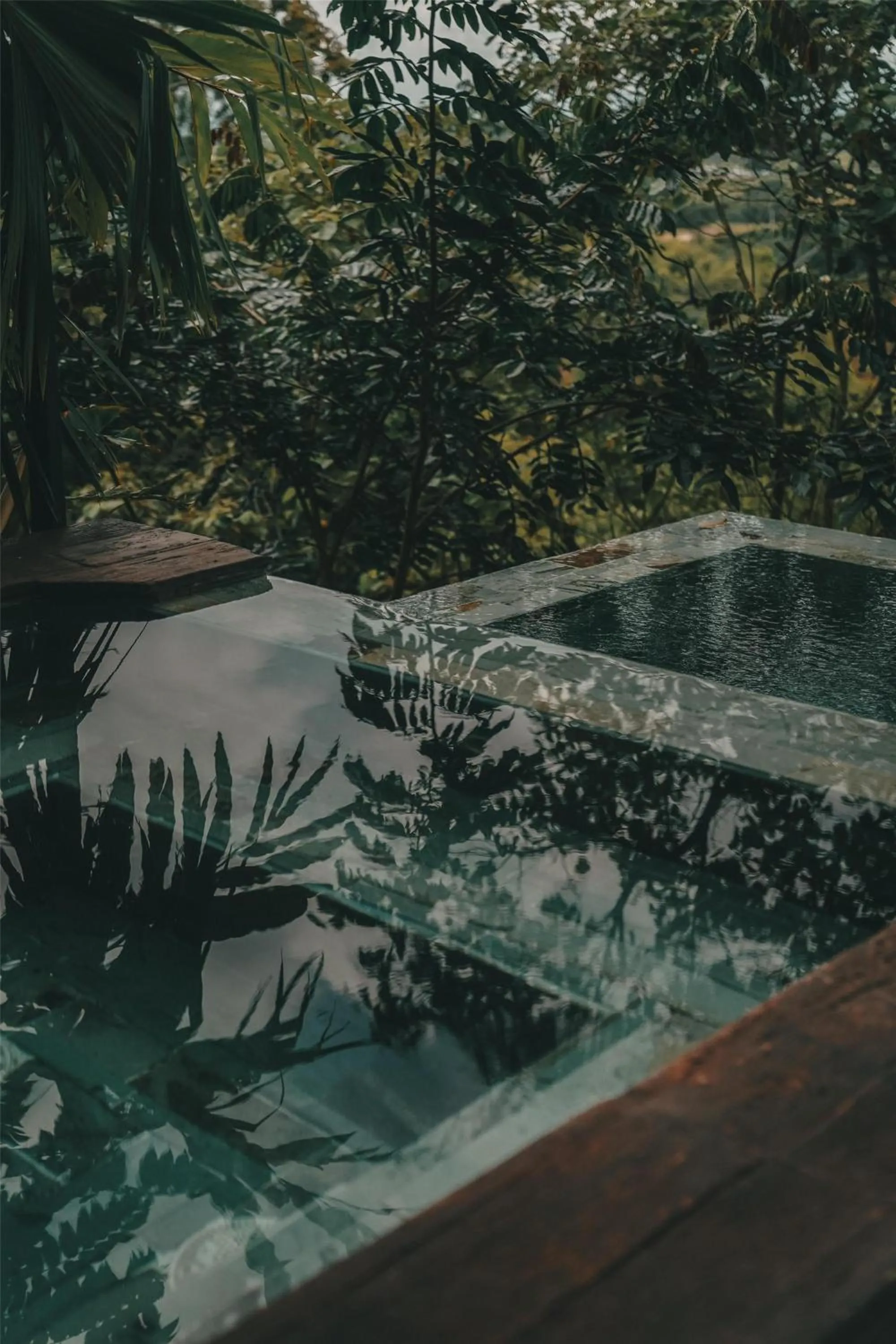 Pool view in Bio Habitat Hotel, AKEN SOUL Collection