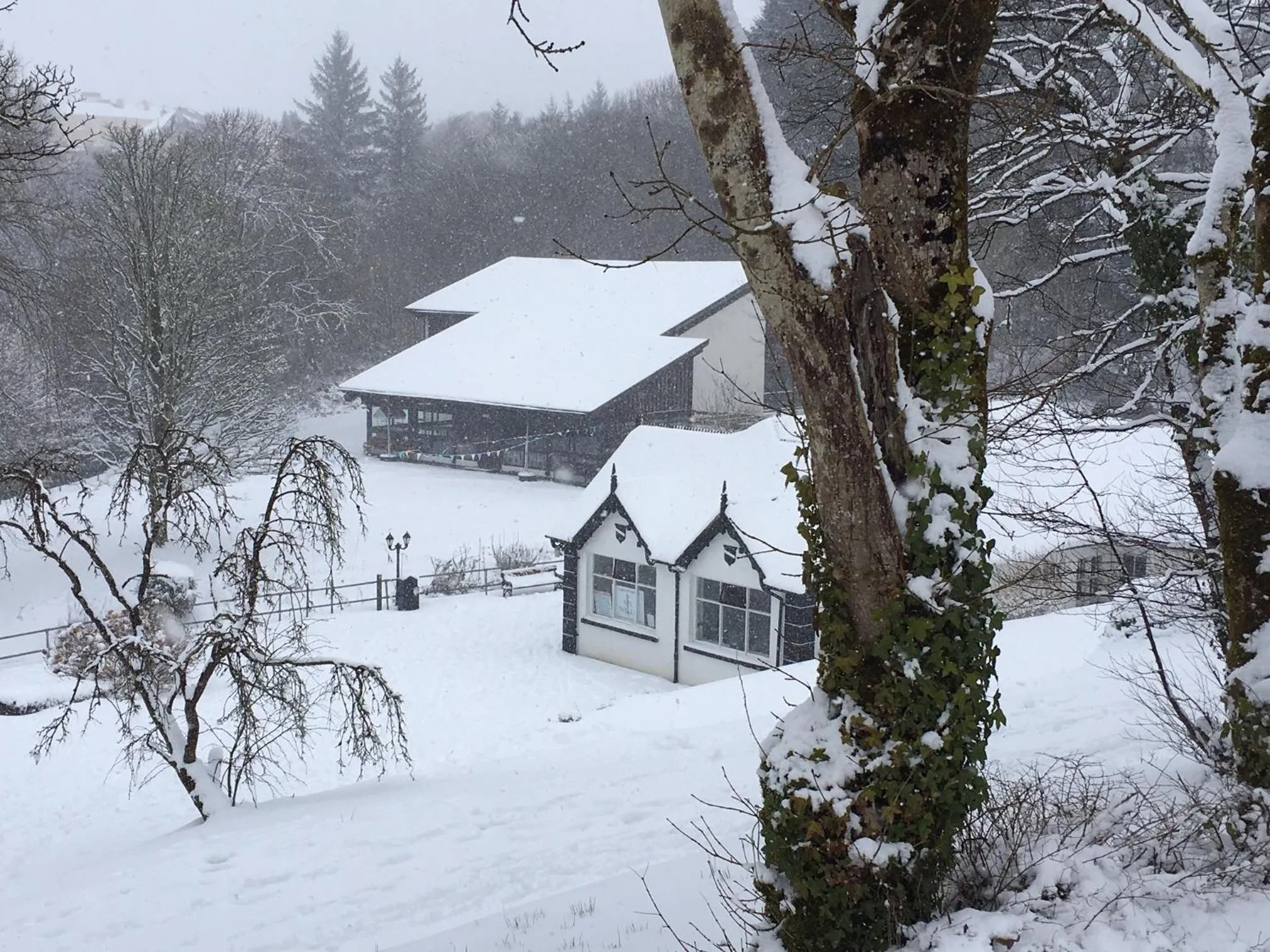 Neighbourhood in Rathbaun Hotel