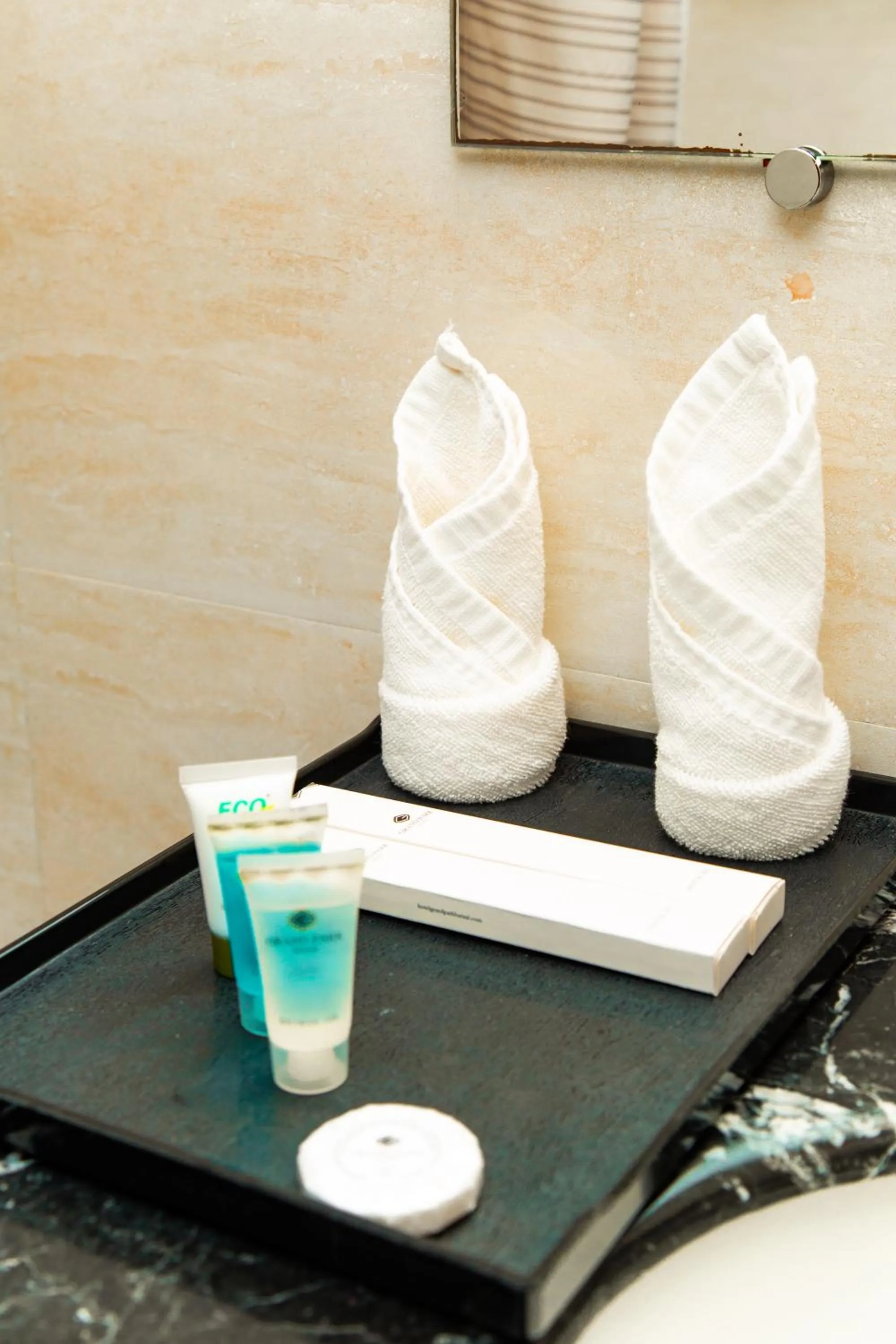 Toilet in Hotel Grand Park Barishal