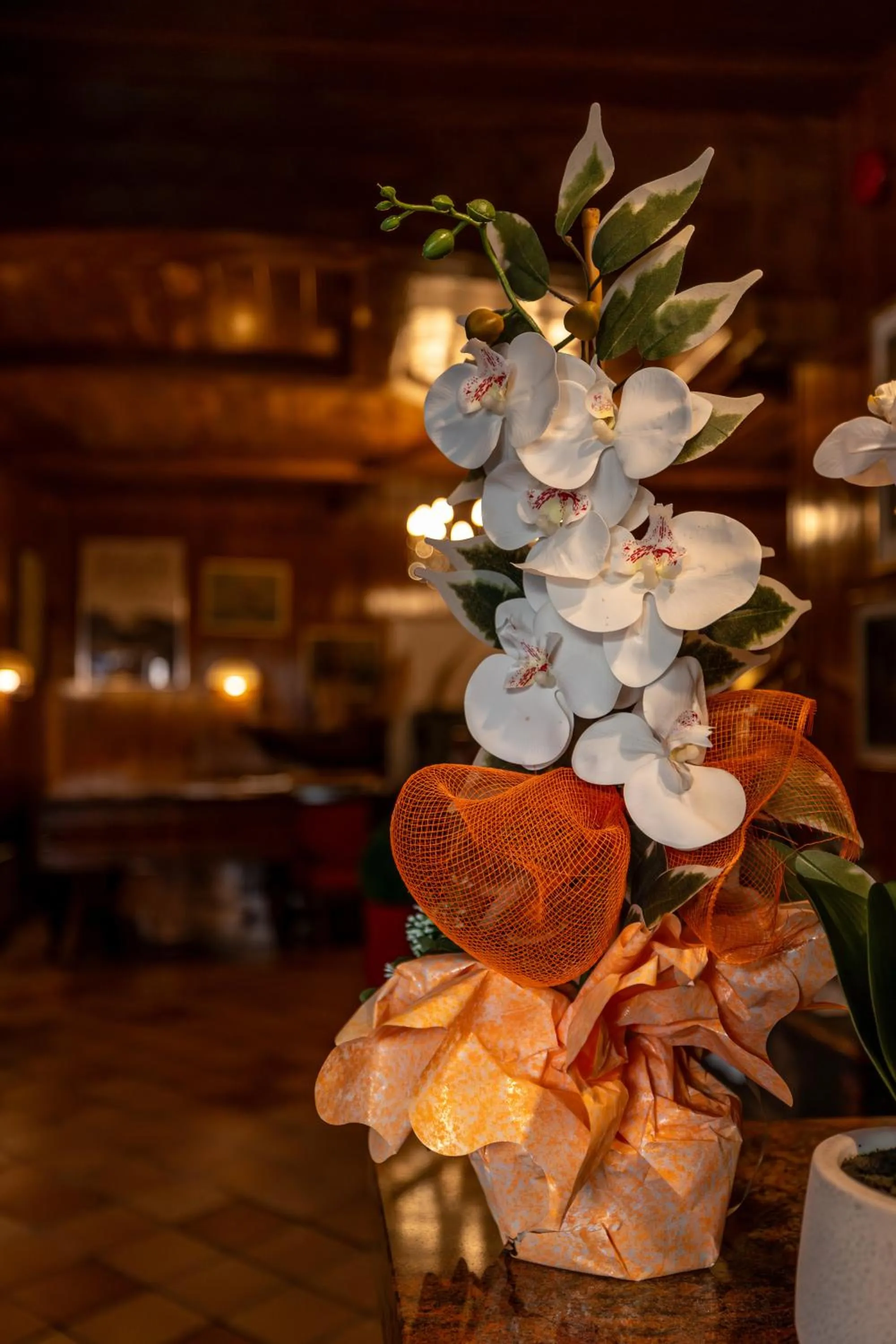 Villaggio Hotel Aquila