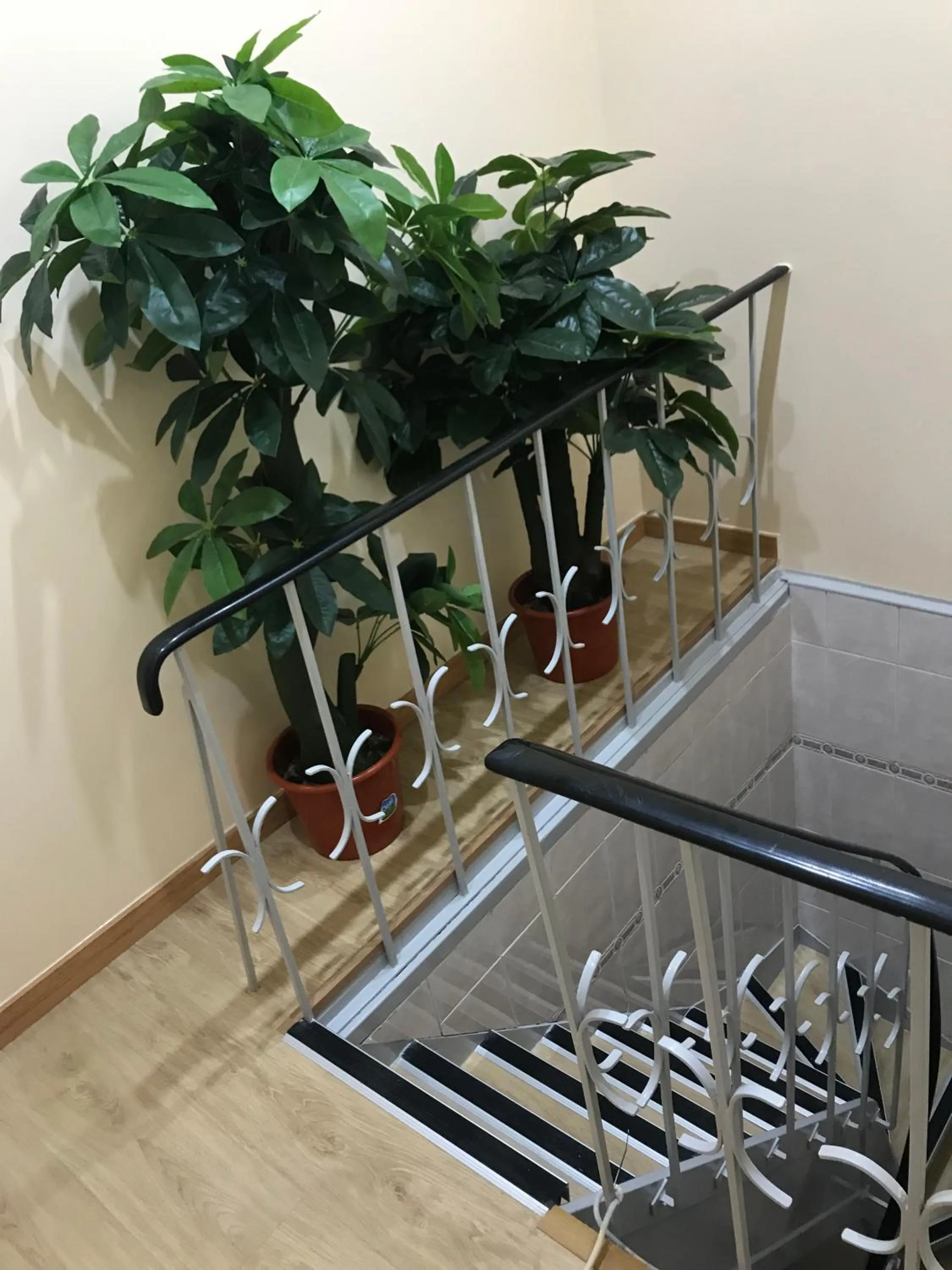 Decorative detail in O Elétrico Guesthouse