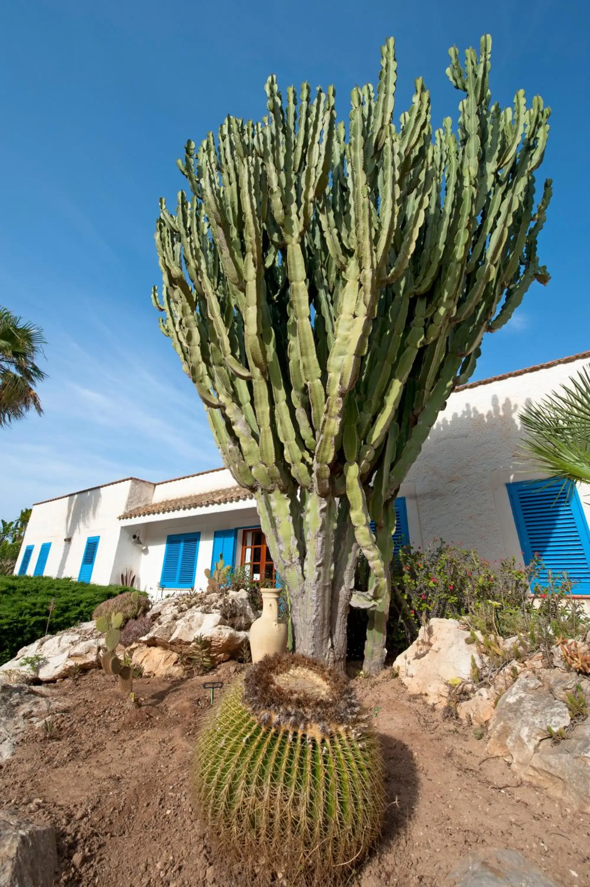 Facade/entrance in Miramare Residence Facade/entrance in Miramare Residence