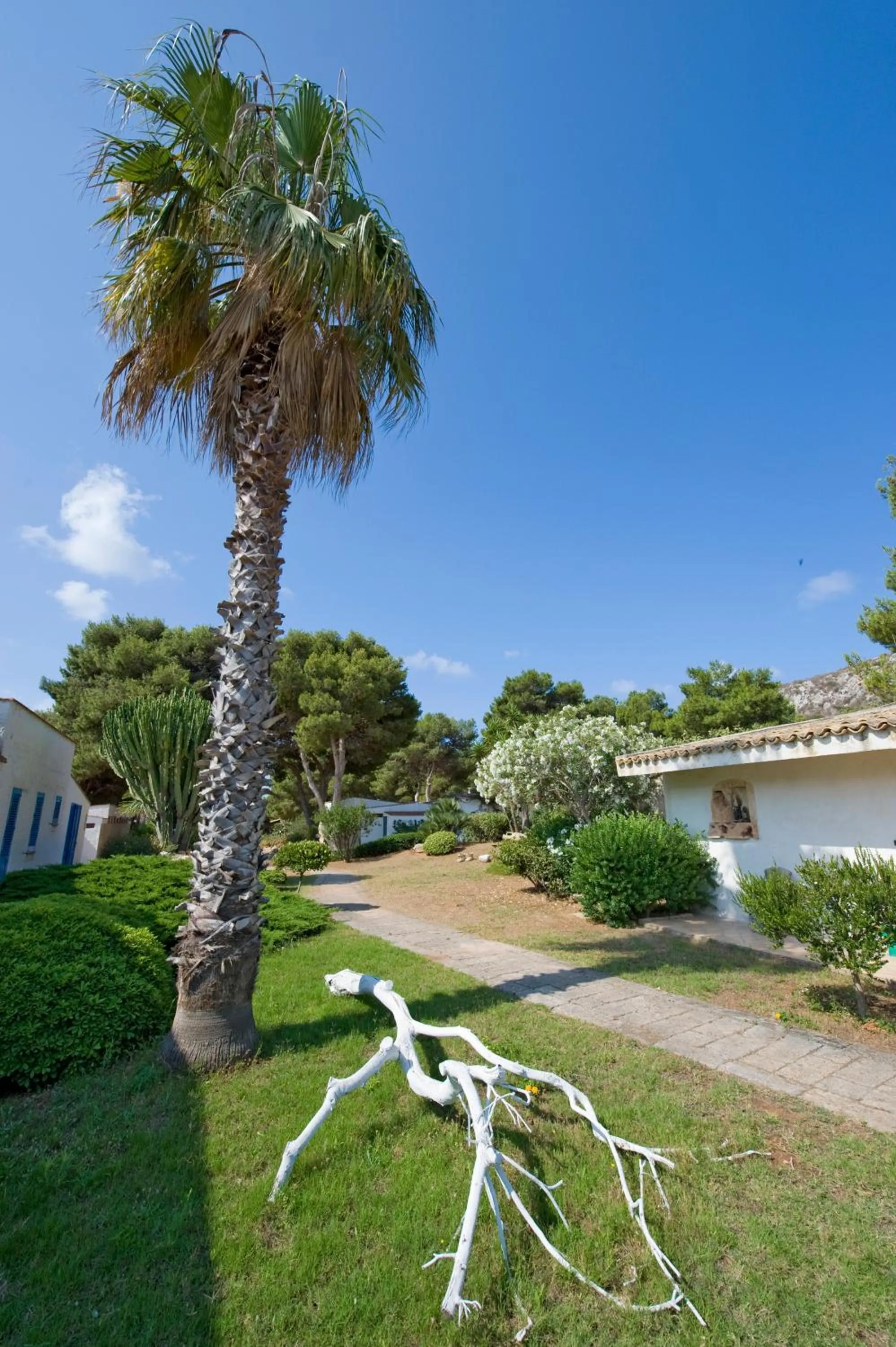 Garden in Miramare Residence