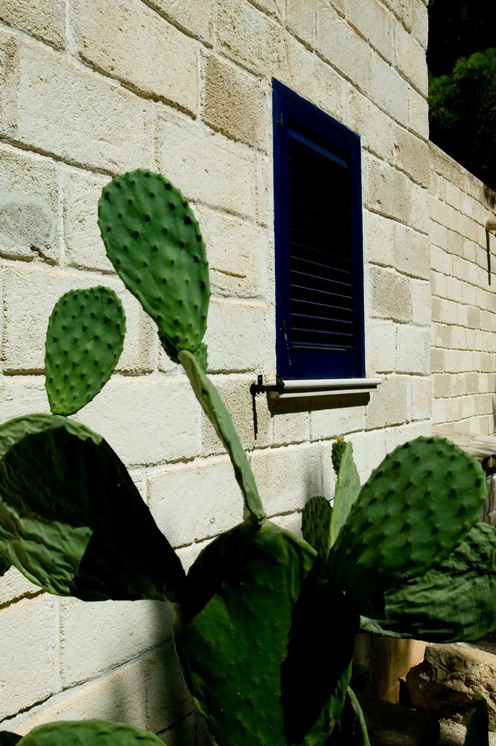 Facade/entrance in Miramare Residence Facade/entrance in Miramare Residence