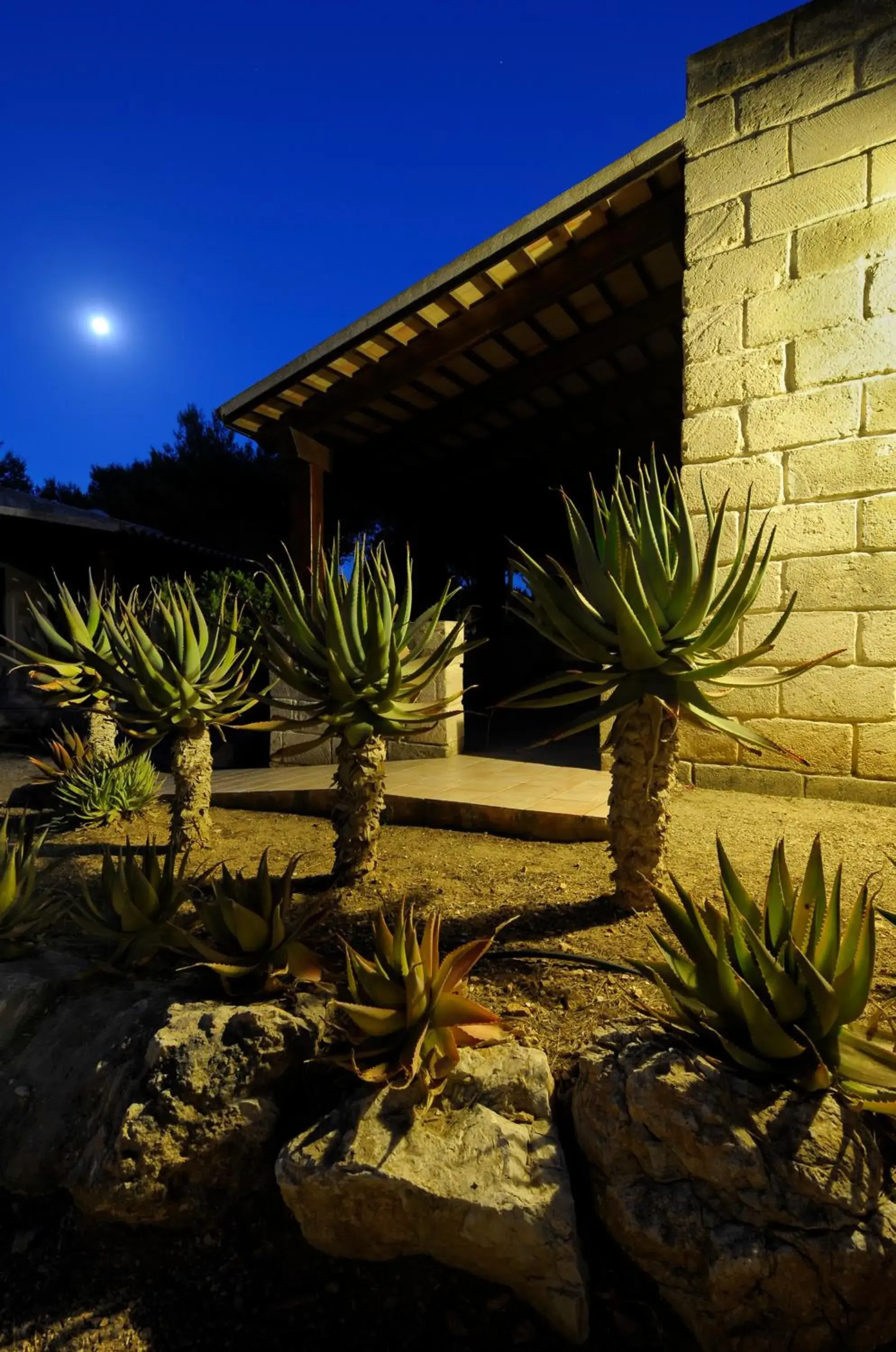 Facade/entrance in Miramare Residence Facade/entrance in Miramare Residence