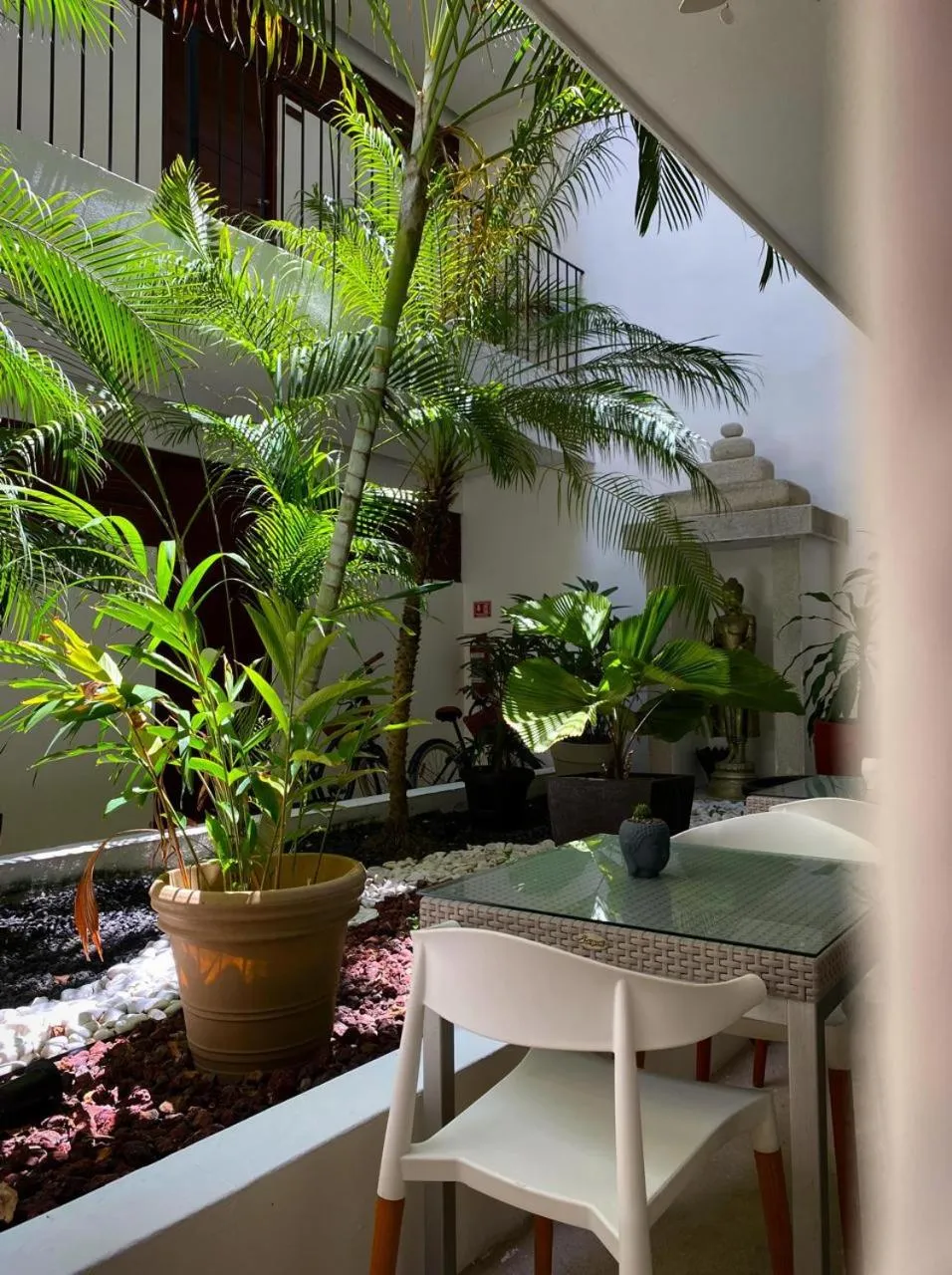 Patio in Hotel Zendero Tulum