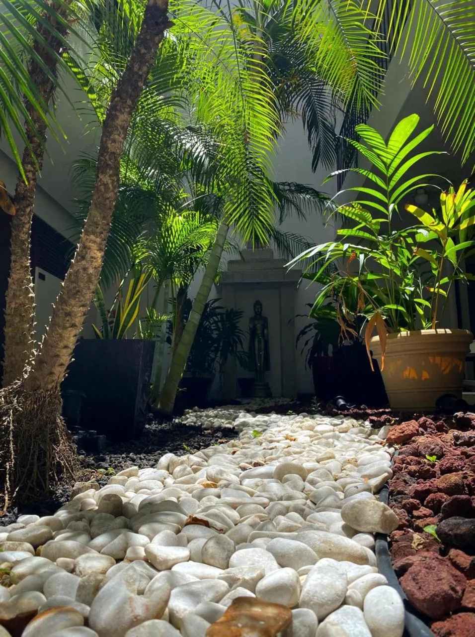 Spring in Hotel Zendero Tulum