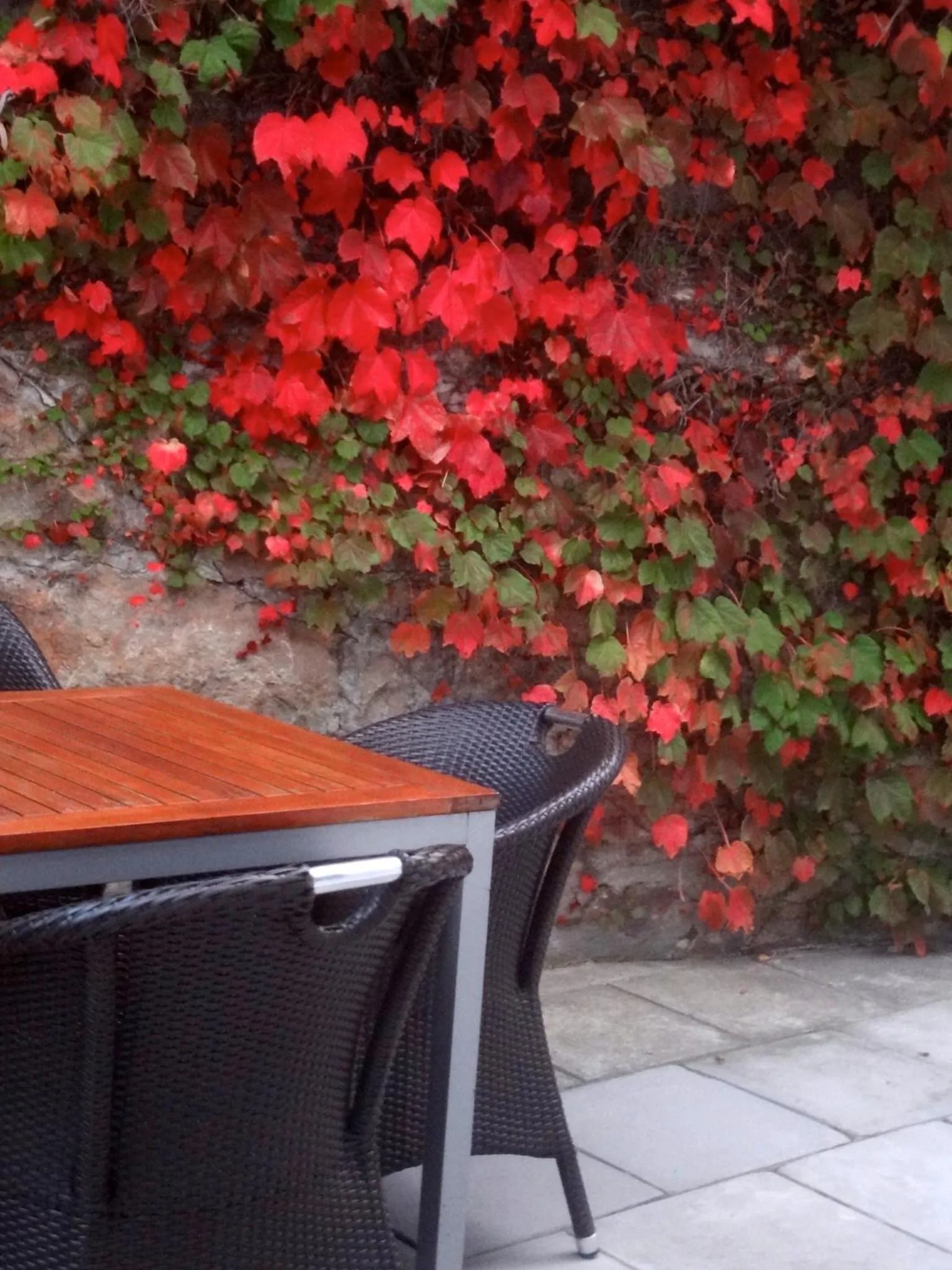 Patio in Blue On Blue Bed and Breakfast