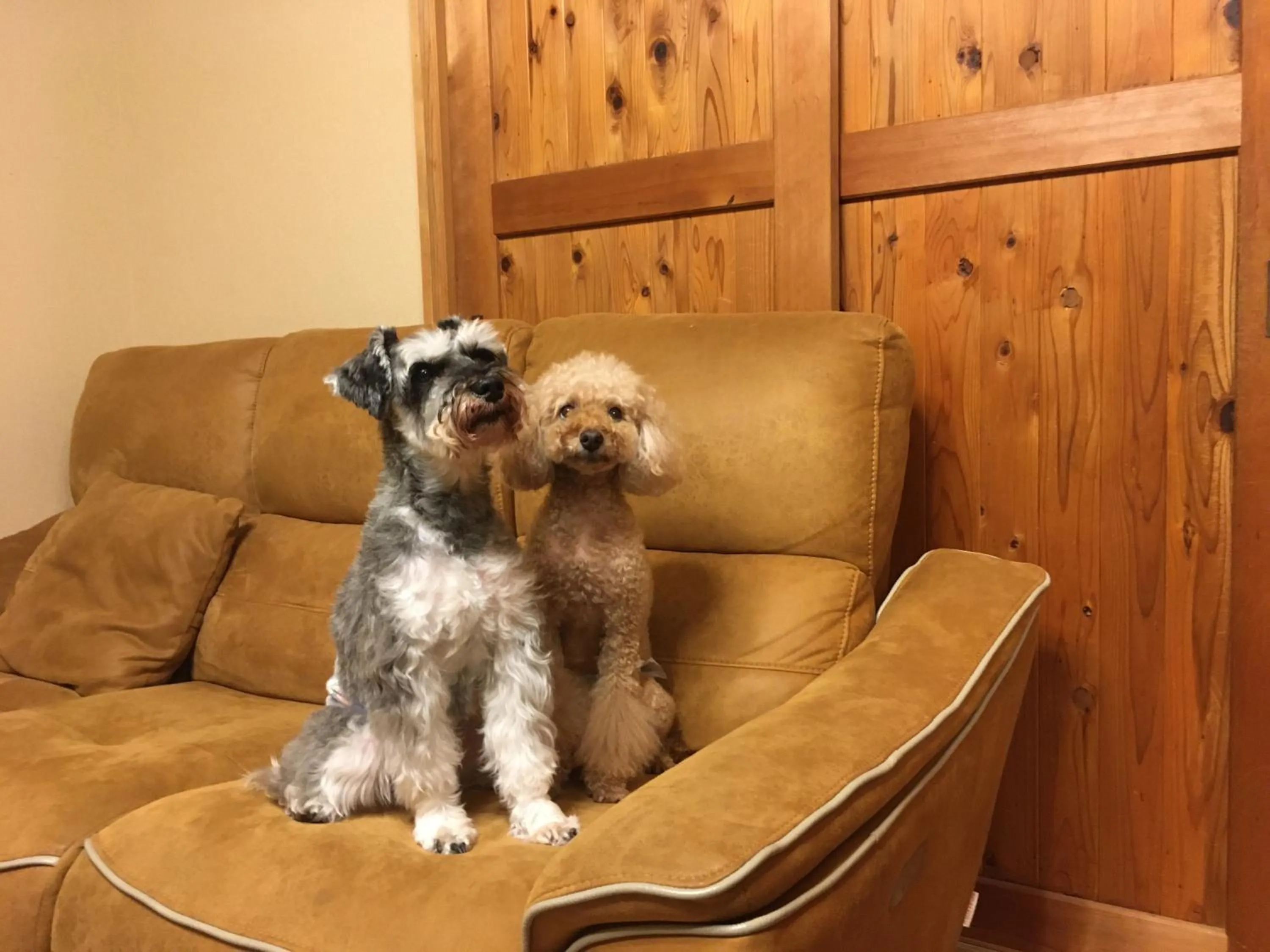 pet friendly in AbbeyRoad Inn Seika