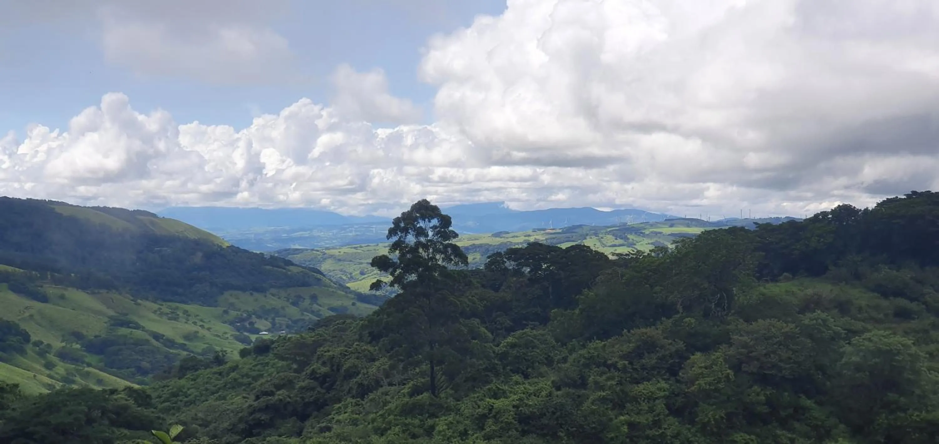 Neighbourhood in OutBox Inn