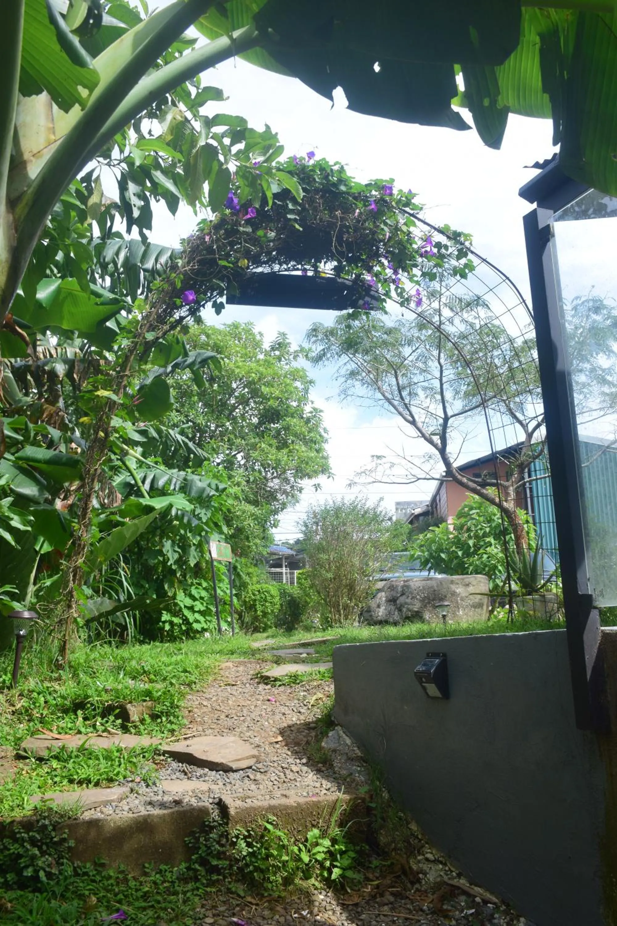 Garden in OutBox Inn