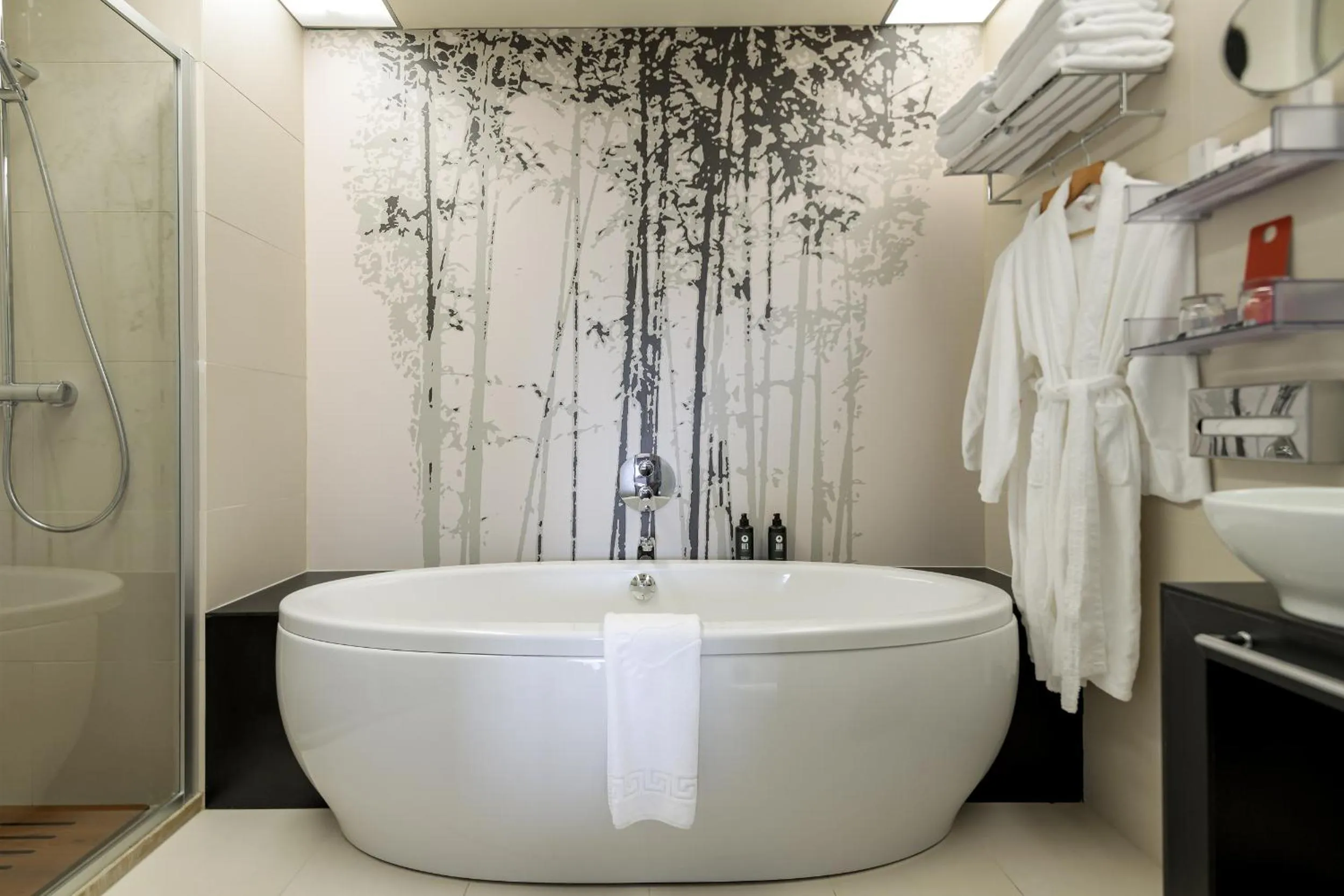 Shower in Ramada Plaza by Wyndham Bucharest Convention Center