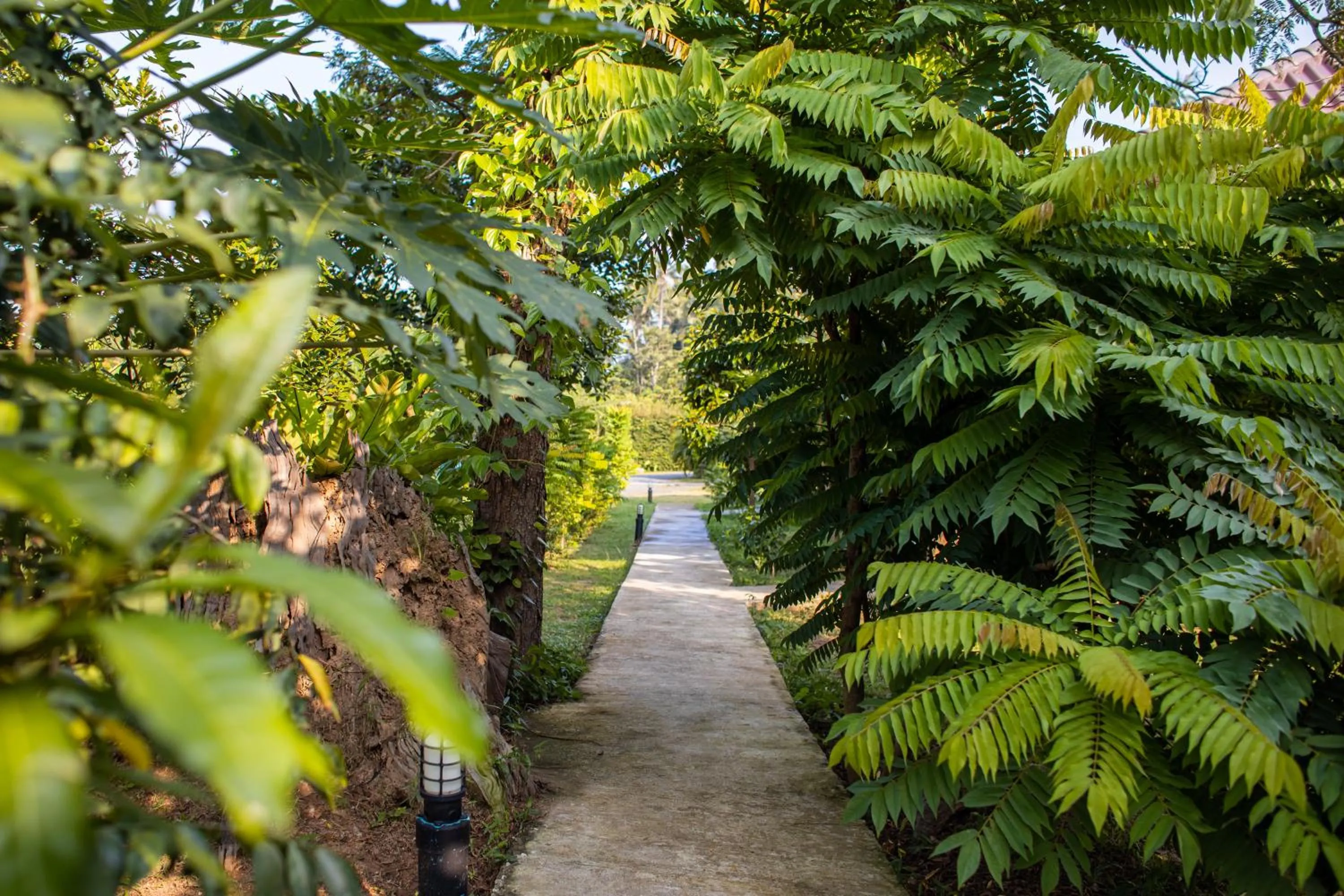 Garden in Bang Po Garden