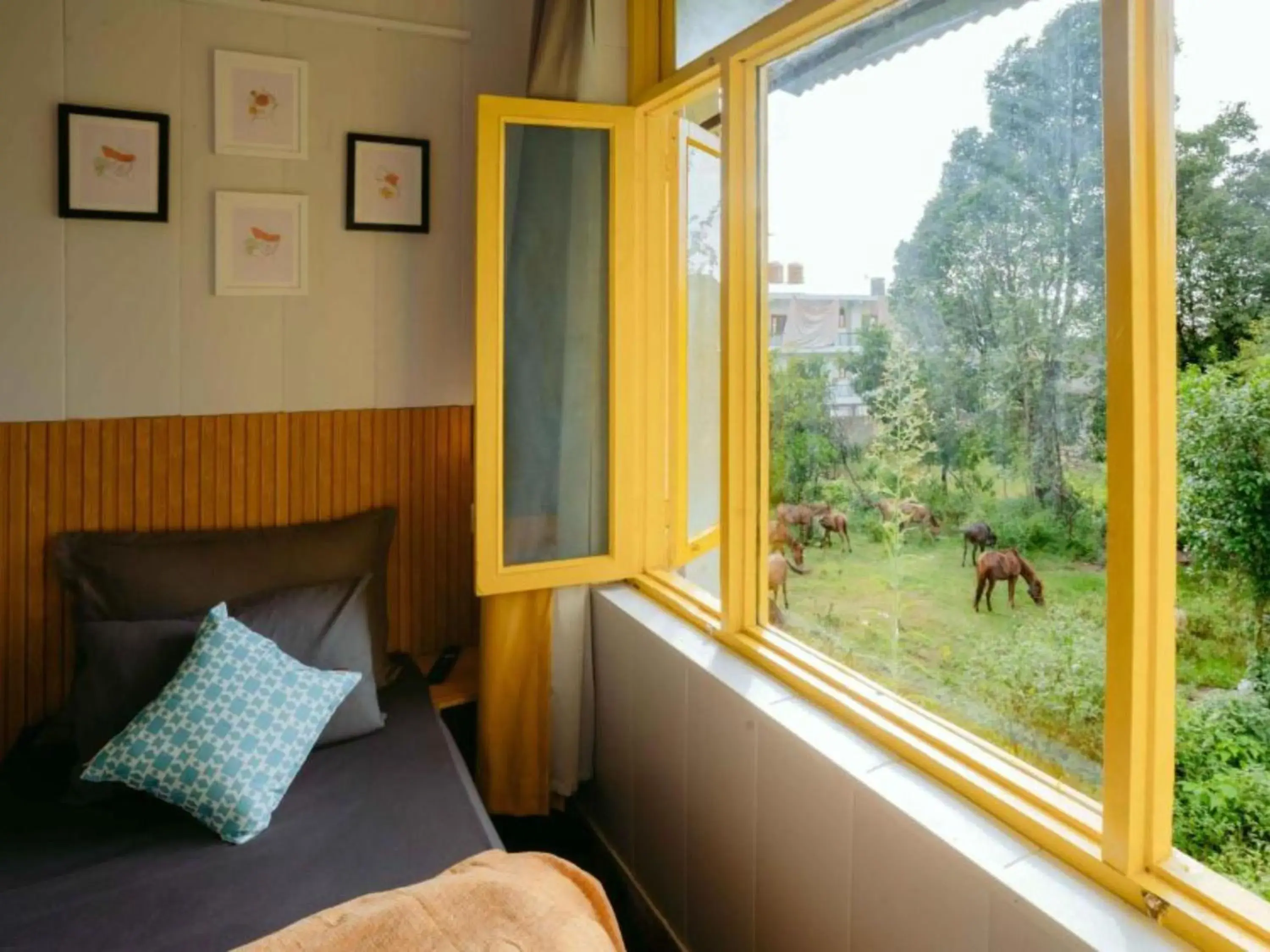 Bed in The Hosteller Bir Bed in The Hosteller Bir