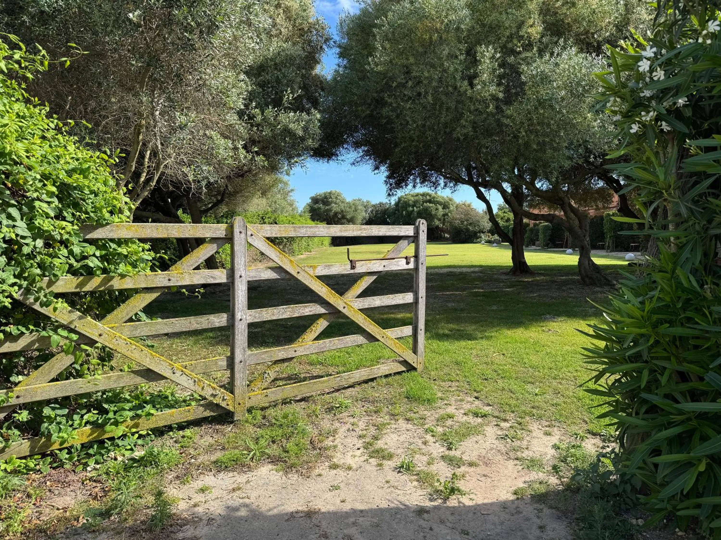Garden in Trafalgar Polo Club