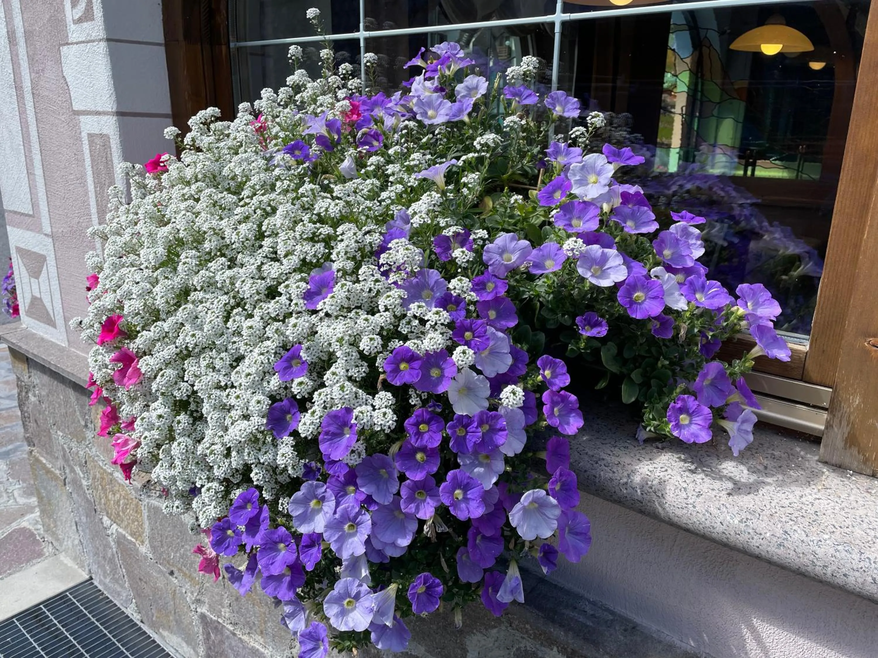 Day in Hotel Piccolo Mondo