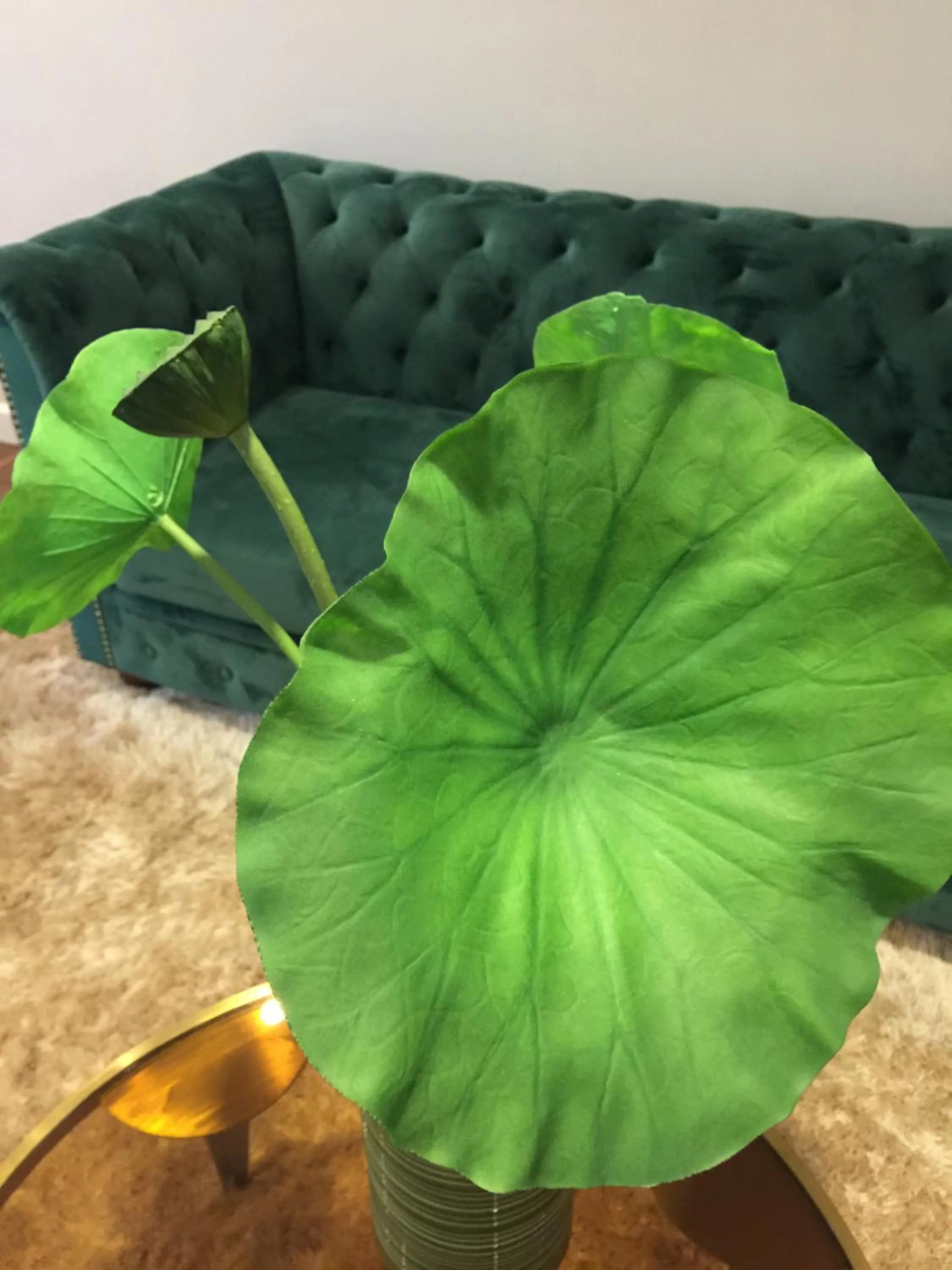 Scenic Valley Marvel