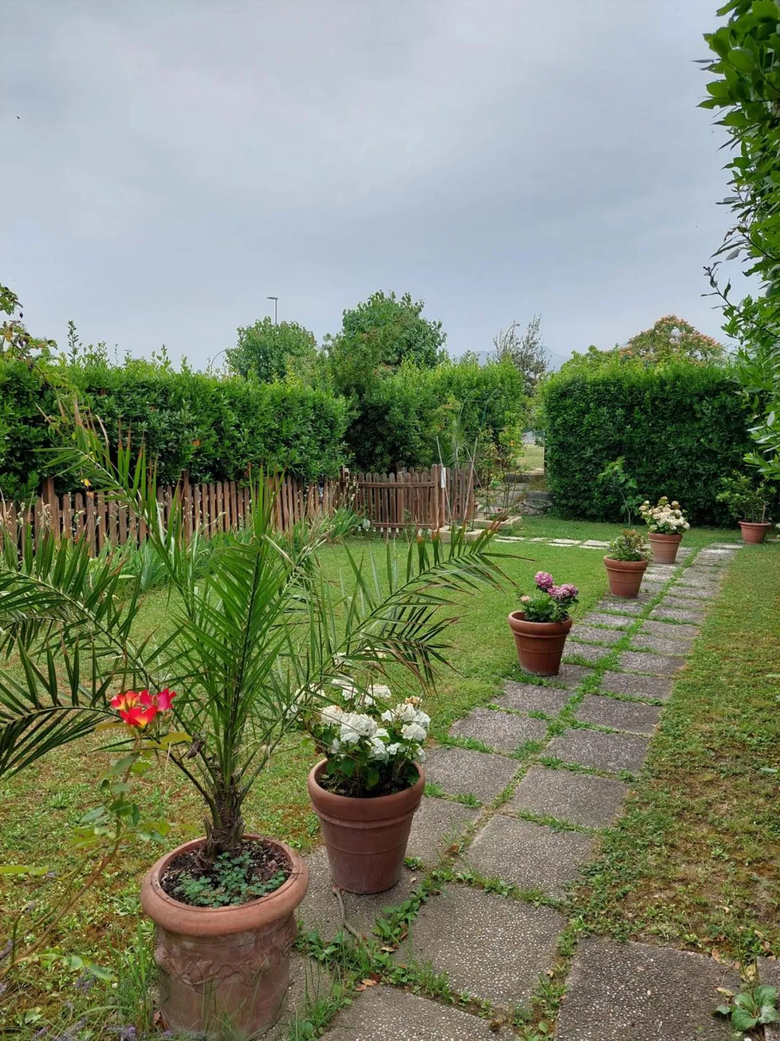 Garden in Hotel Patrizia