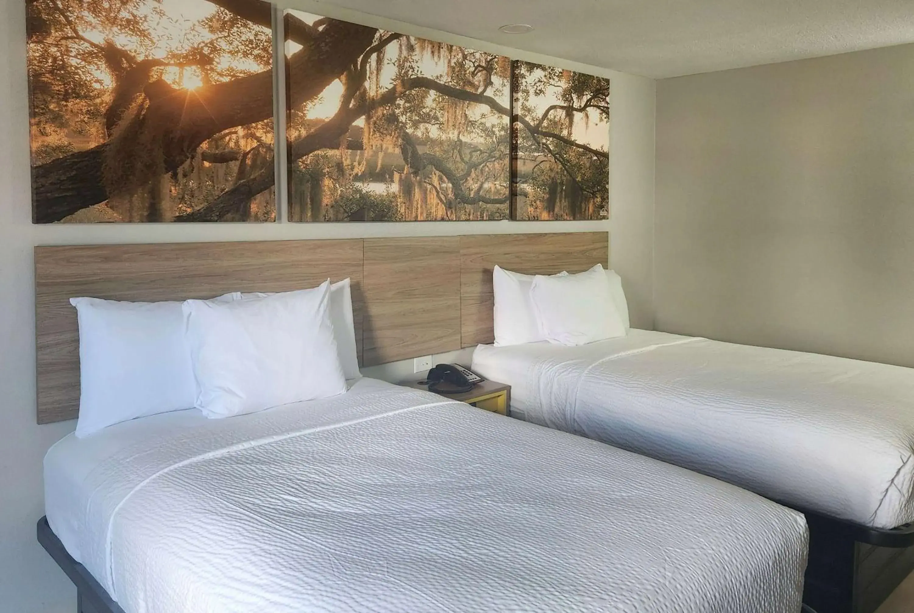 Photo of the whole room, Bed in Days Inn by Wyndham Lafayette Scott Photo of the whole room, Bed in Days Inn by Wyndham Lafayette Scott