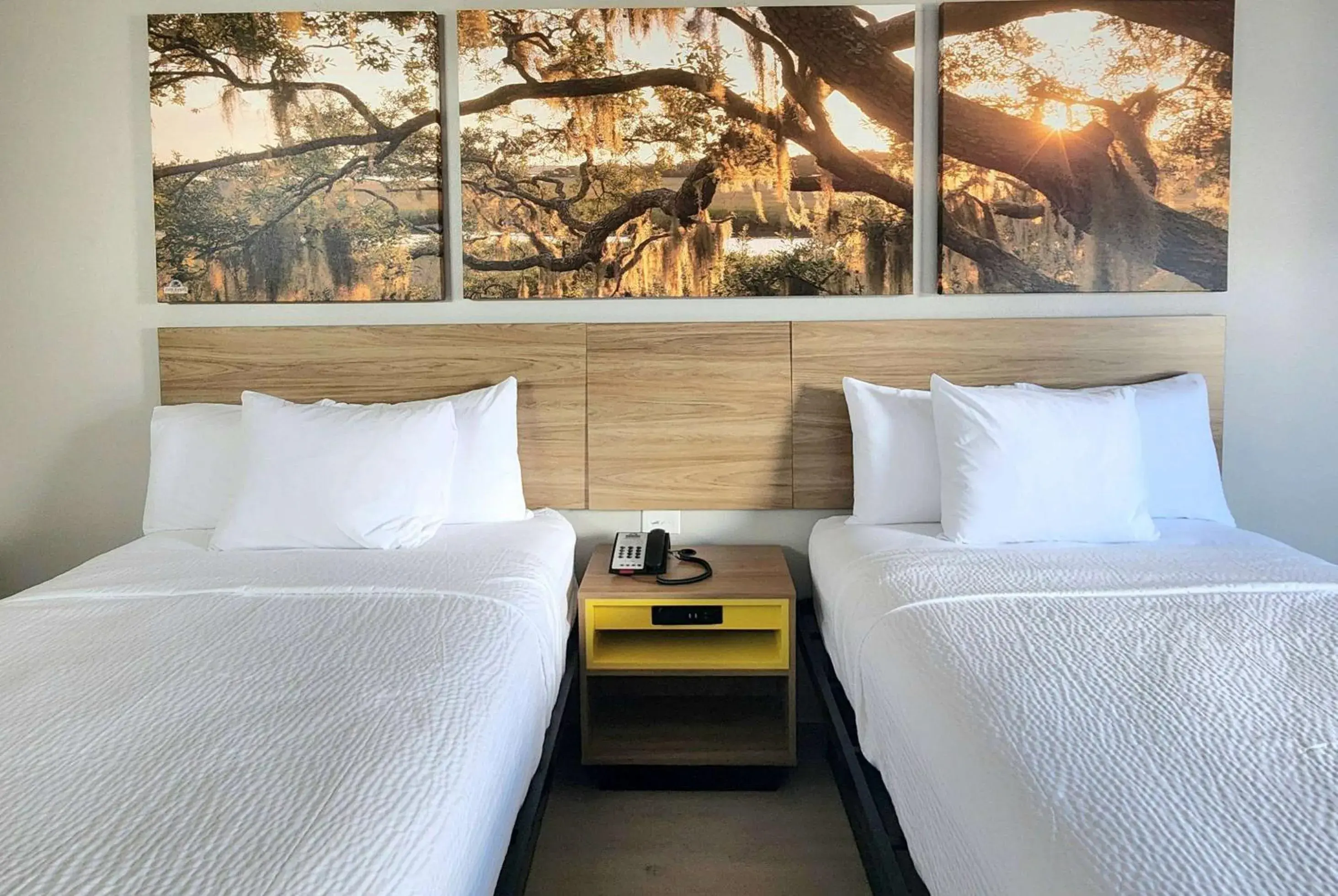 Photo of the whole room, Bed in Days Inn by Wyndham Lafayette Scott Photo of the whole room, Bed in Days Inn by Wyndham Lafayette Scott