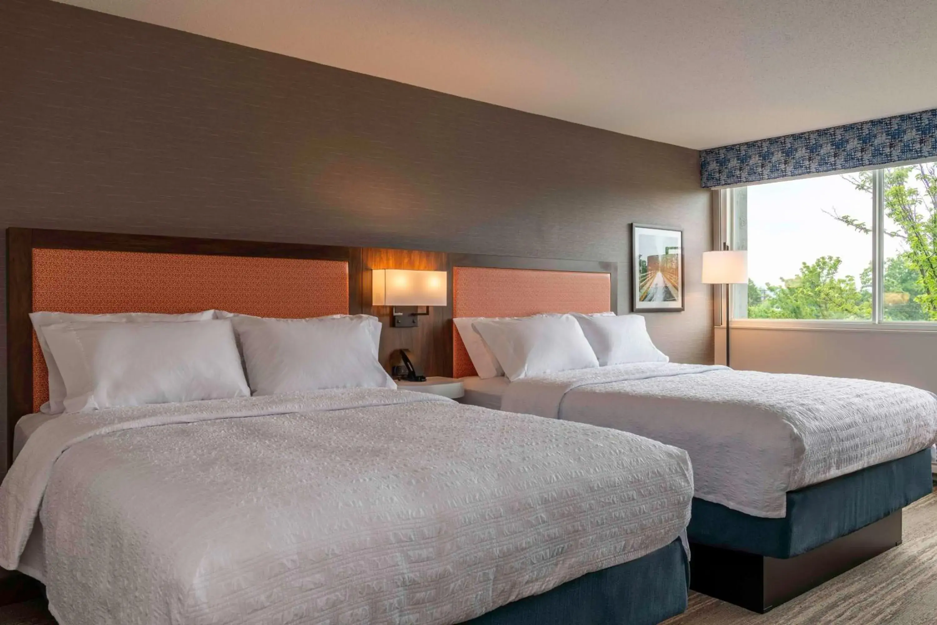 Bedroom, Bed in Hampton Inn Manchester Downtown Bedroom, Bed in Hampton Inn Manchester Downtown