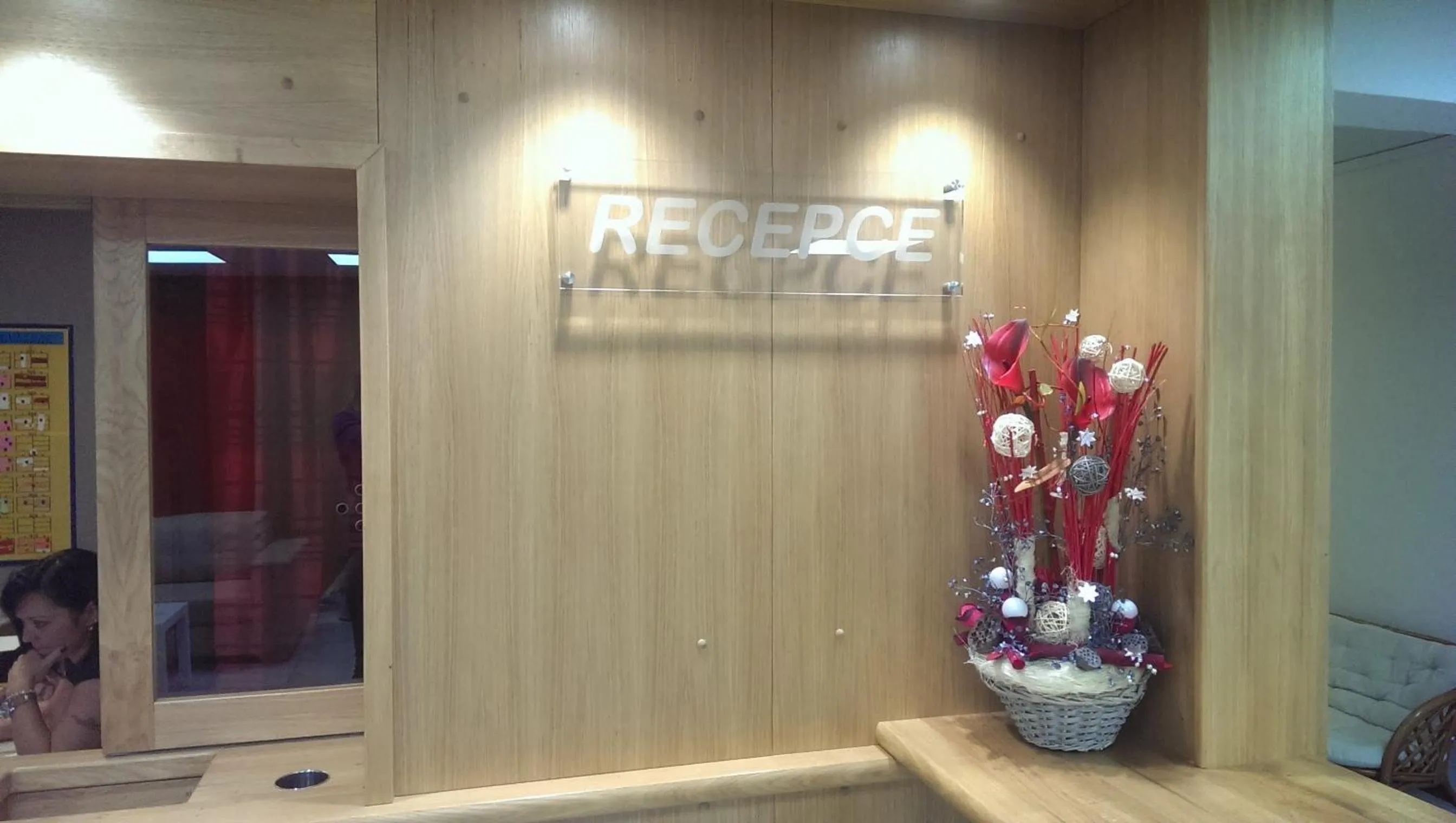 Lobby or reception in Hotel Terek