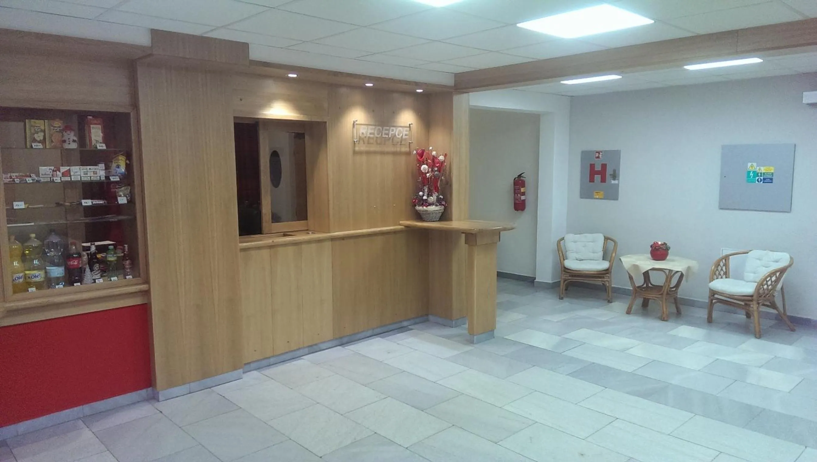 Lobby or reception in Hotel Terek