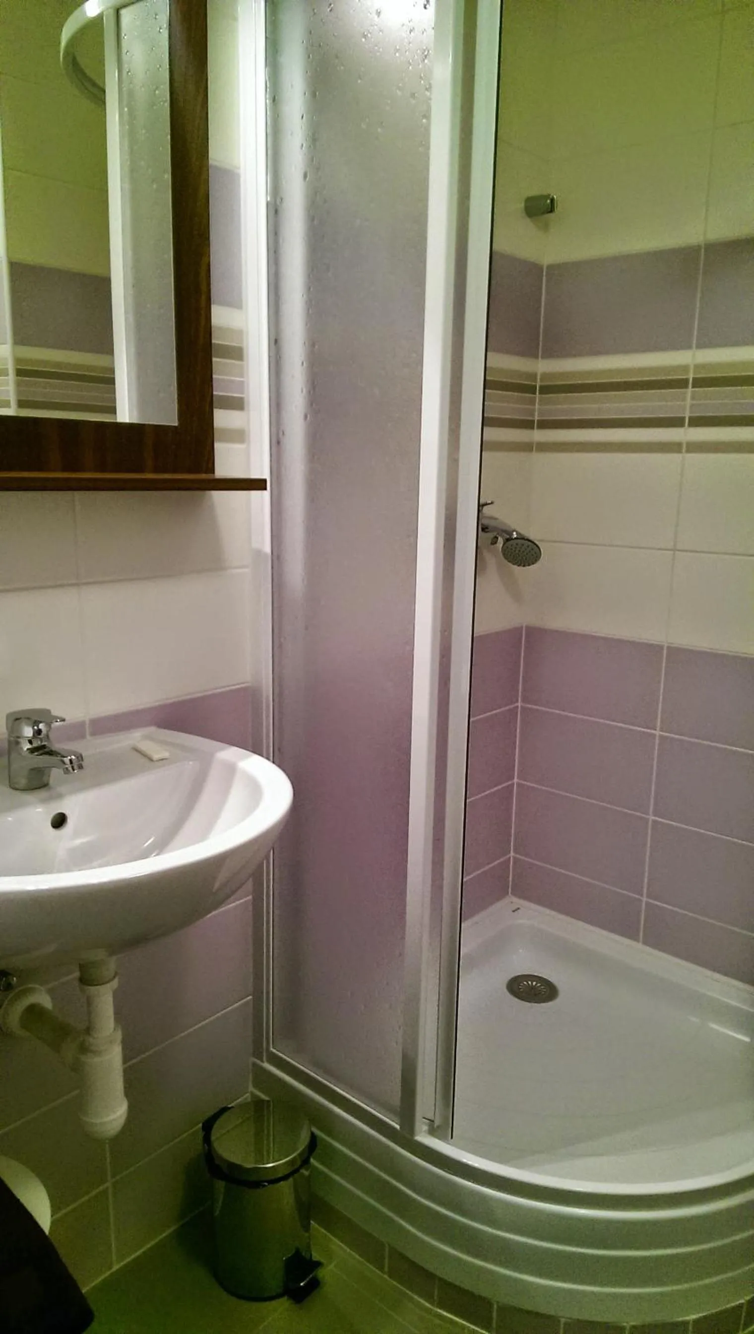 Bathroom in Hotel Terek