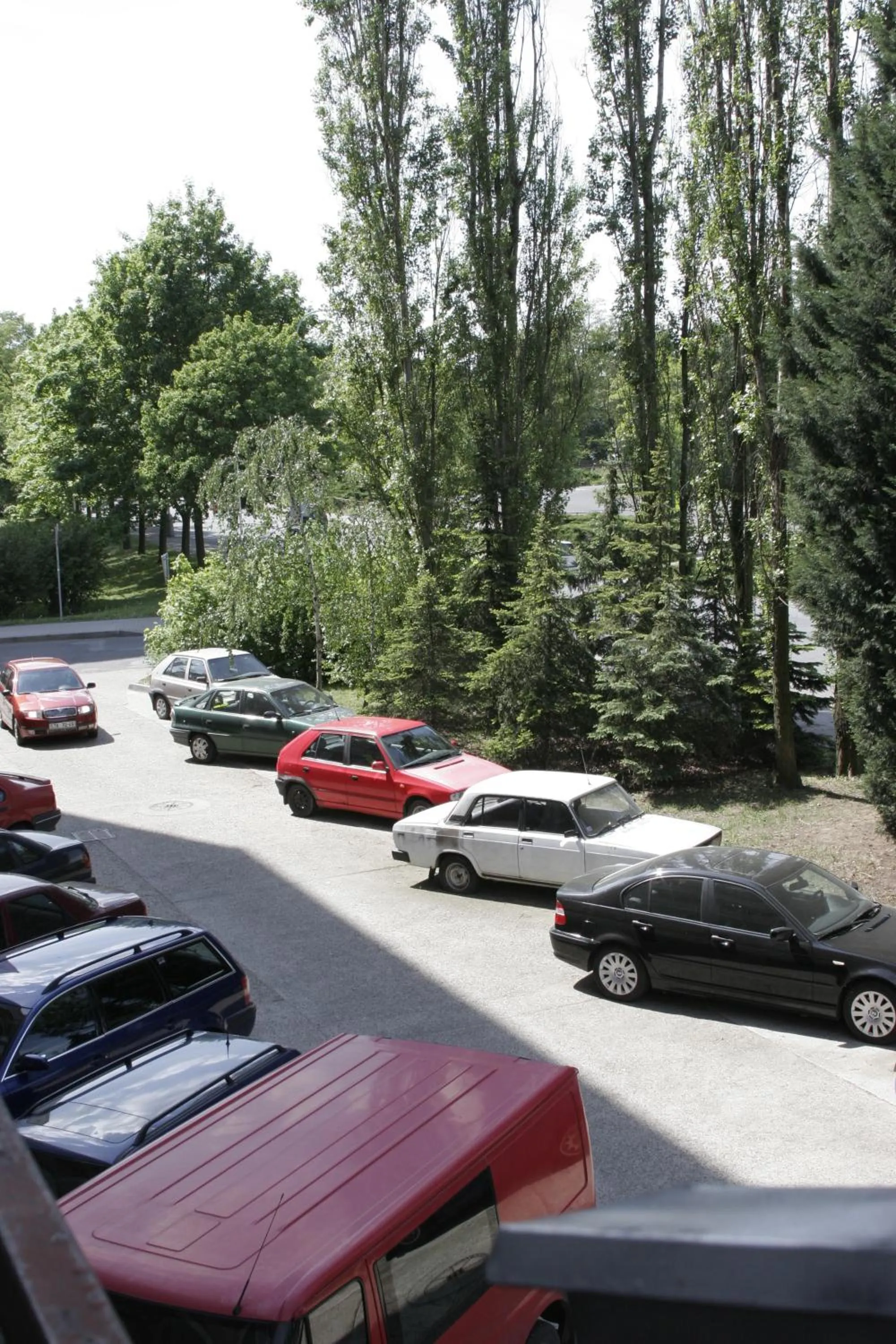 Area and facilities in Hotel Terek
