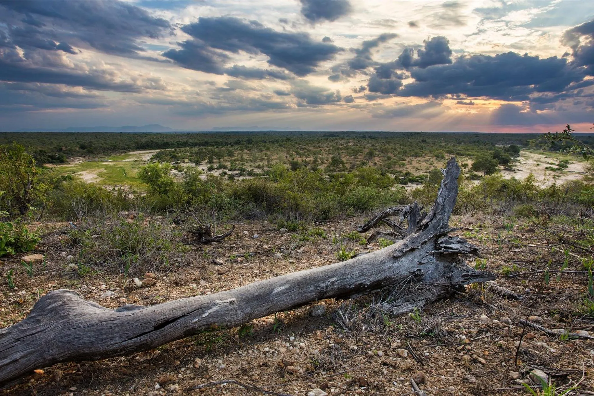 Natural landscape in Klaserie Drift Misava
