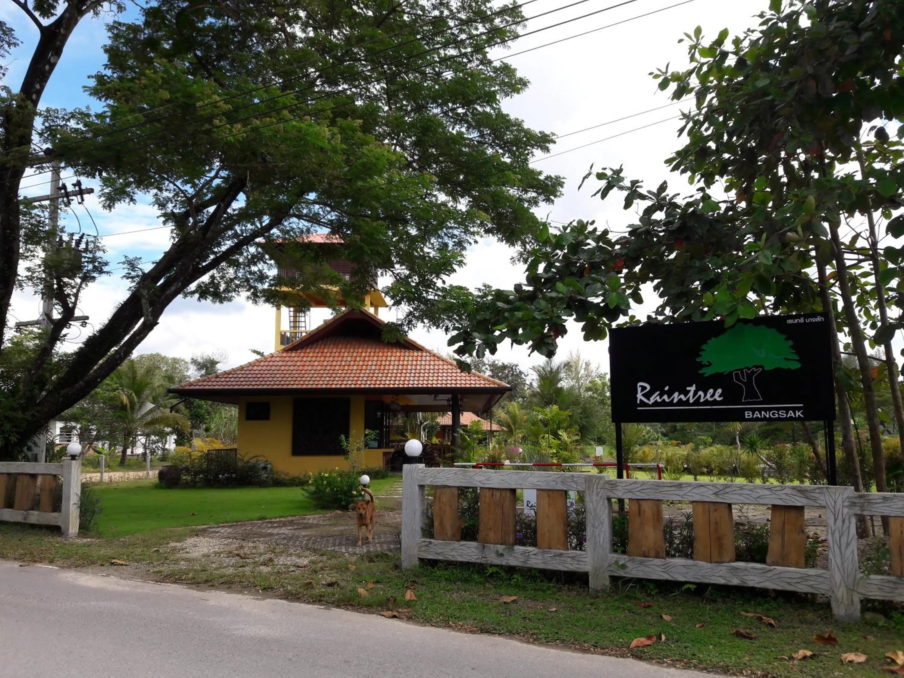 Raintree Bangsak