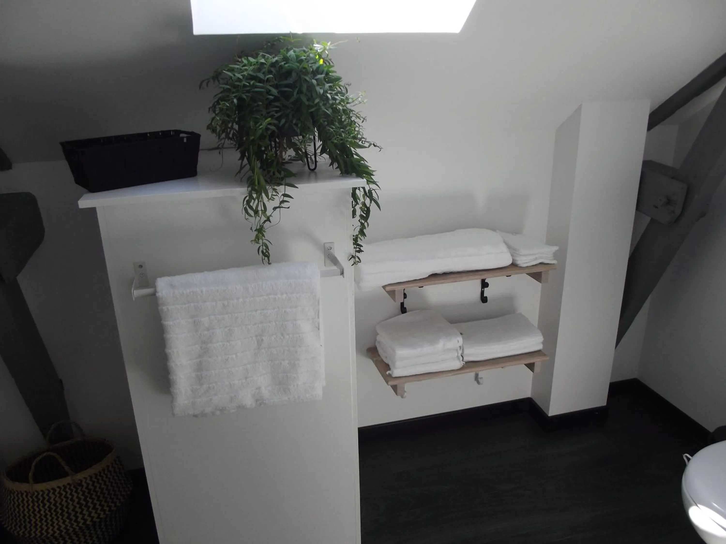 Il était une fois Brocéliande