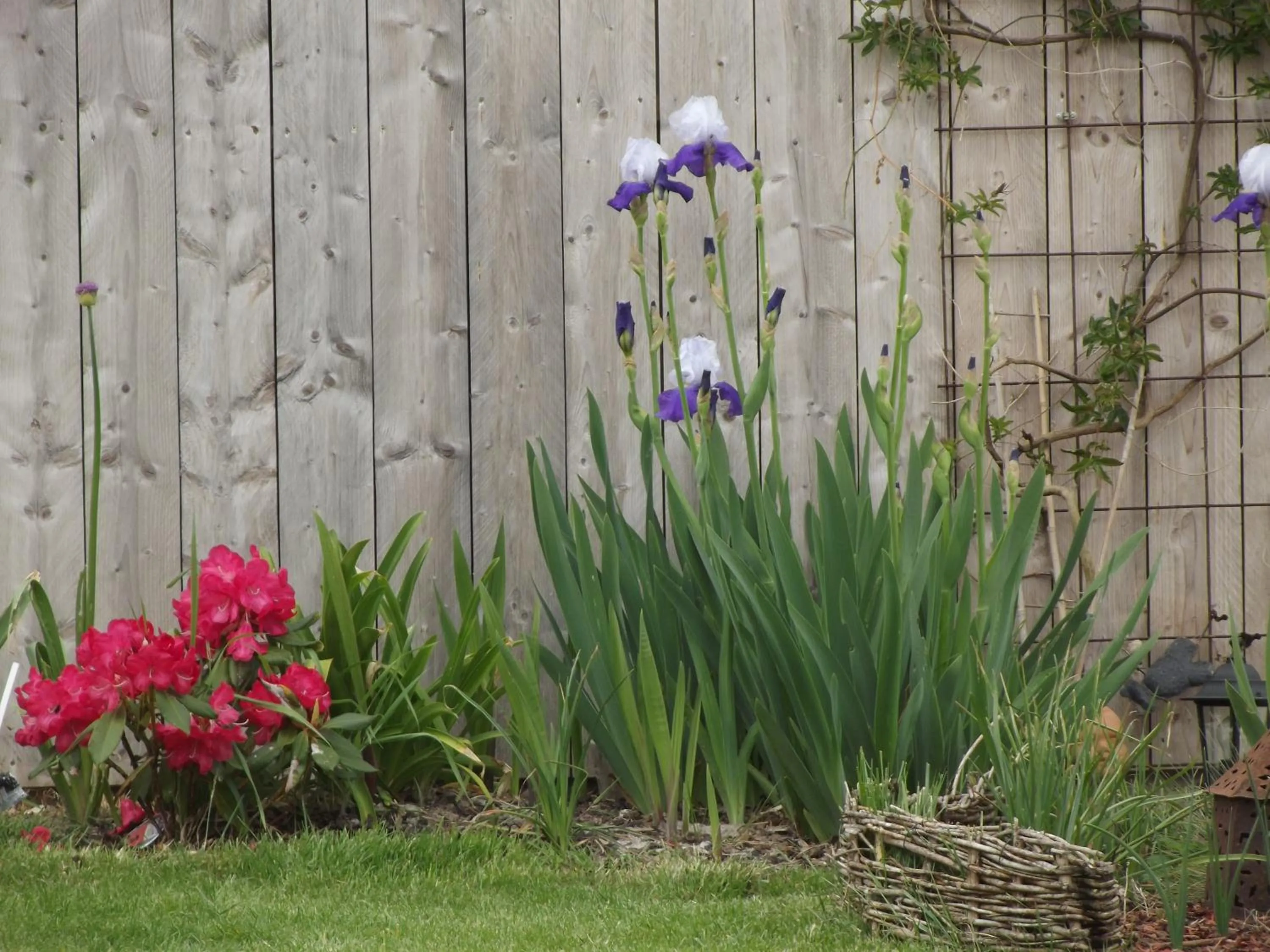 Il était une fois Brocéliande