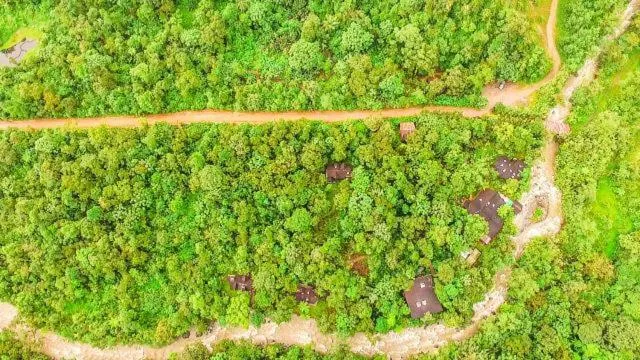Natural landscape in Mindo Garden Lodge and Wildlife Reserve